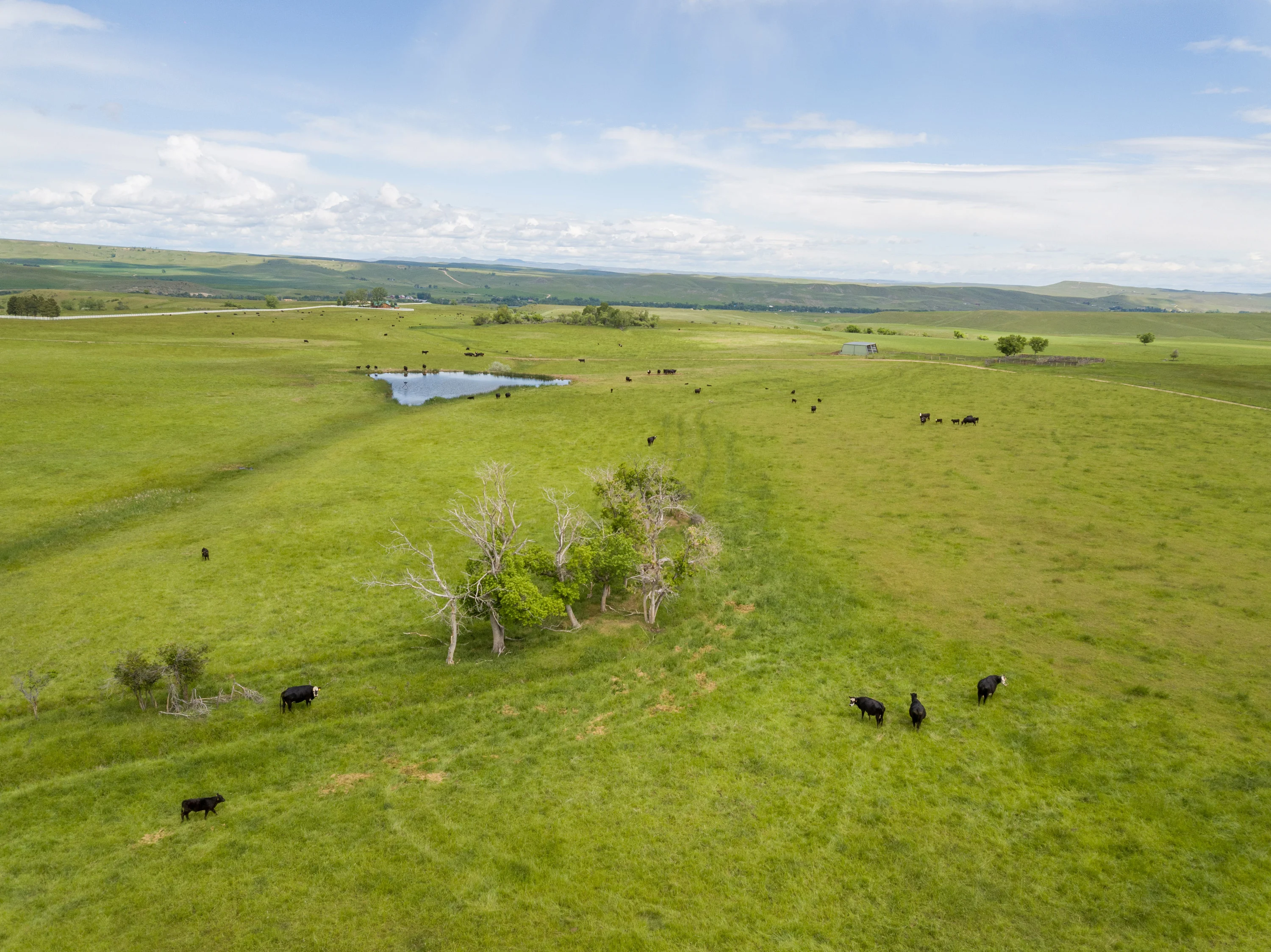 43 Rapid Creek Road, Sheridan, Wyoming 82801 - holy-cow-ranch-43-rapid-creek-road-sheridan-wyoming24_cipjv0
