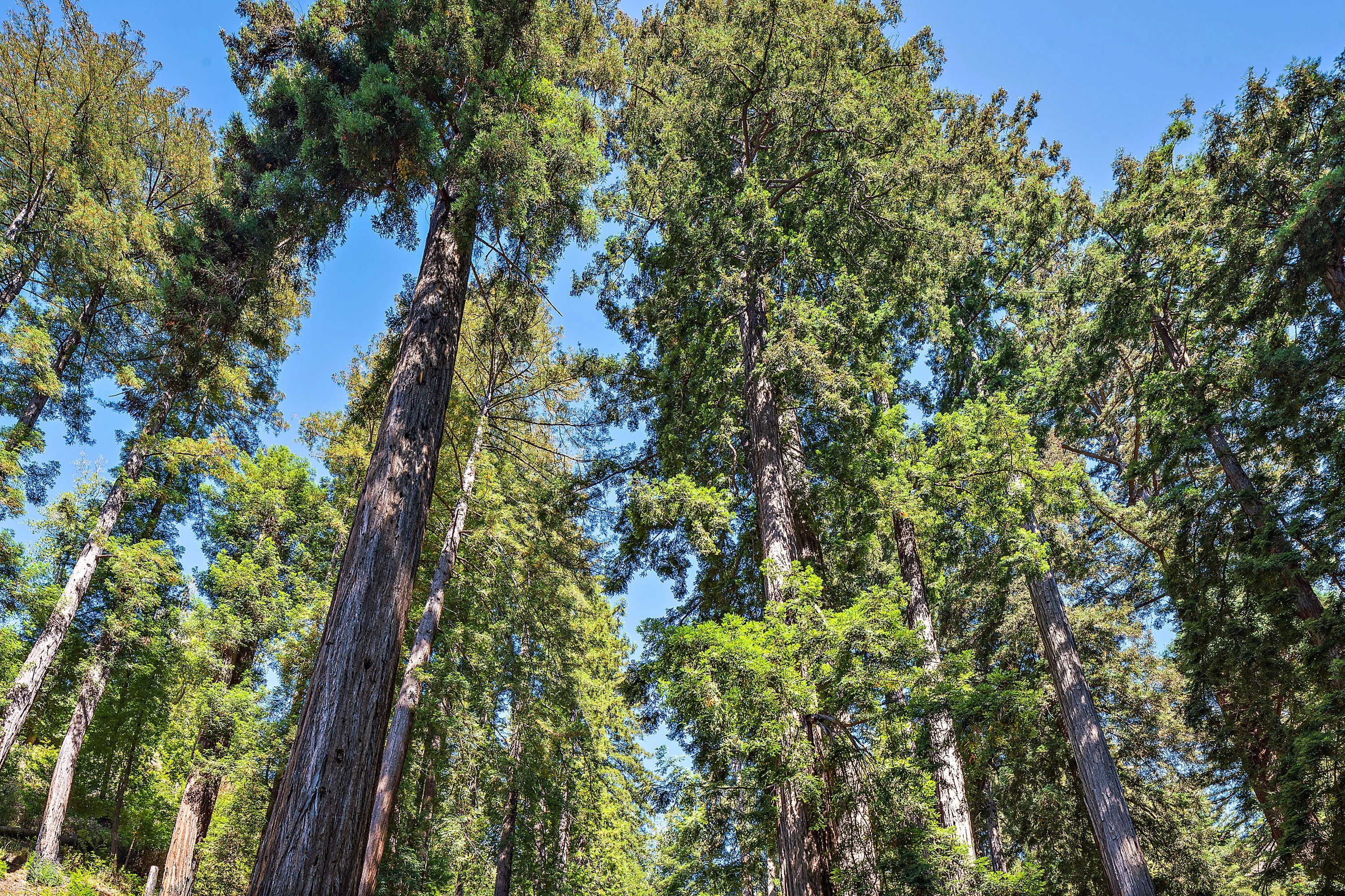0 Highway 1, Big Sur, California 93920 - Cavan_Hadley-104_miplwb
