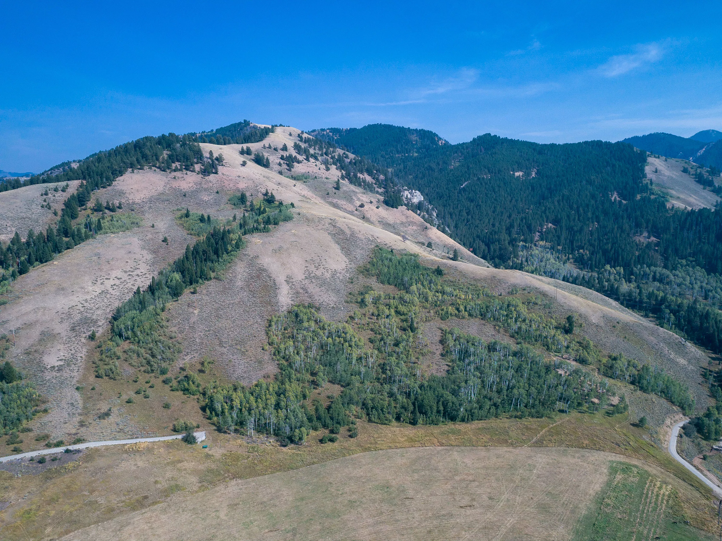 985 Elk Ridge Road, Jackson Hole, Wyoming  - 985_Elk_Ridge_Road_06_howrtg