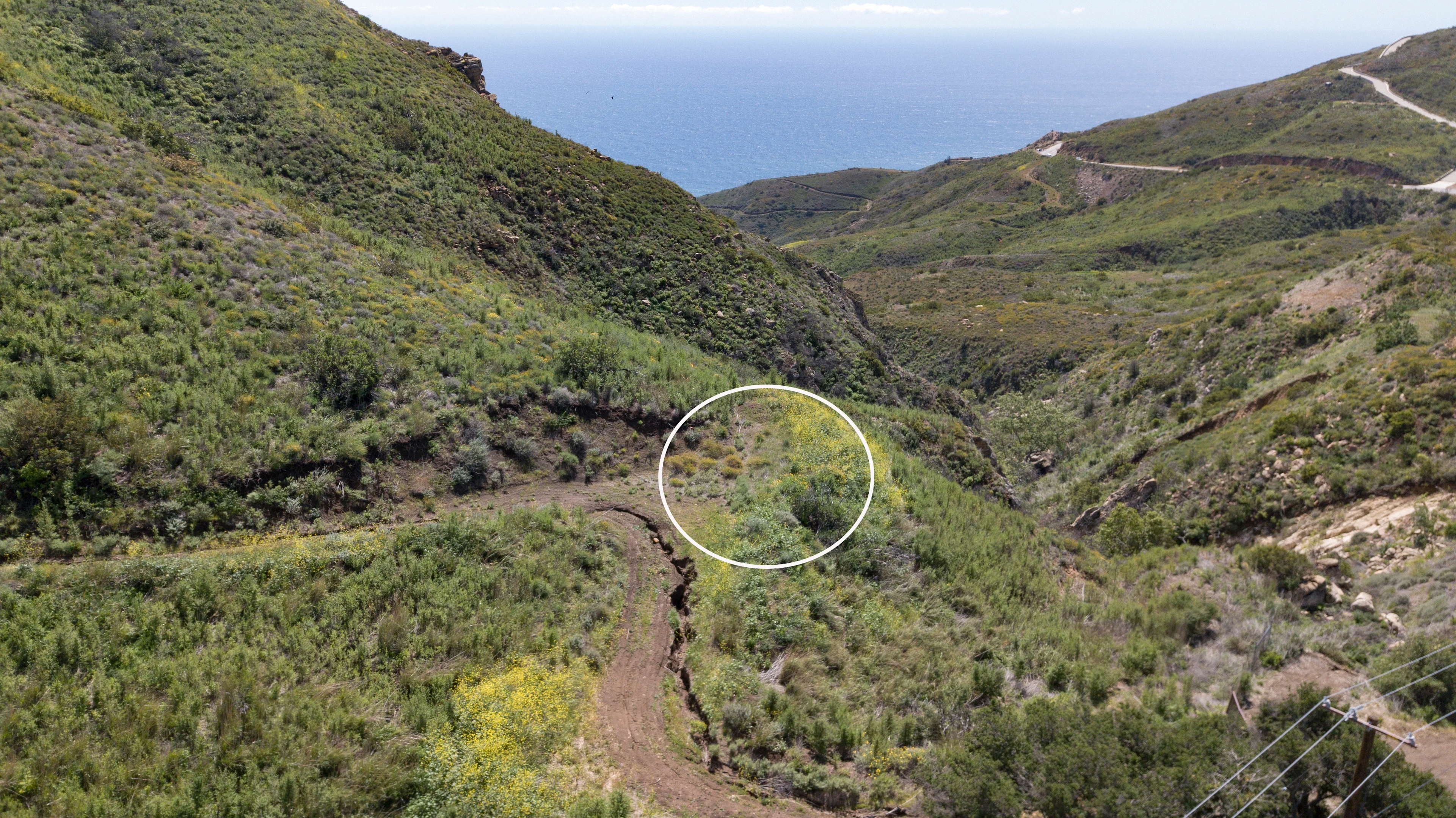 Encinal Canyon Bluff | Pacific Coast Highway, Malibu, California 90265 - 6_-_4_pad_1_copy_2Pad_d64xr9