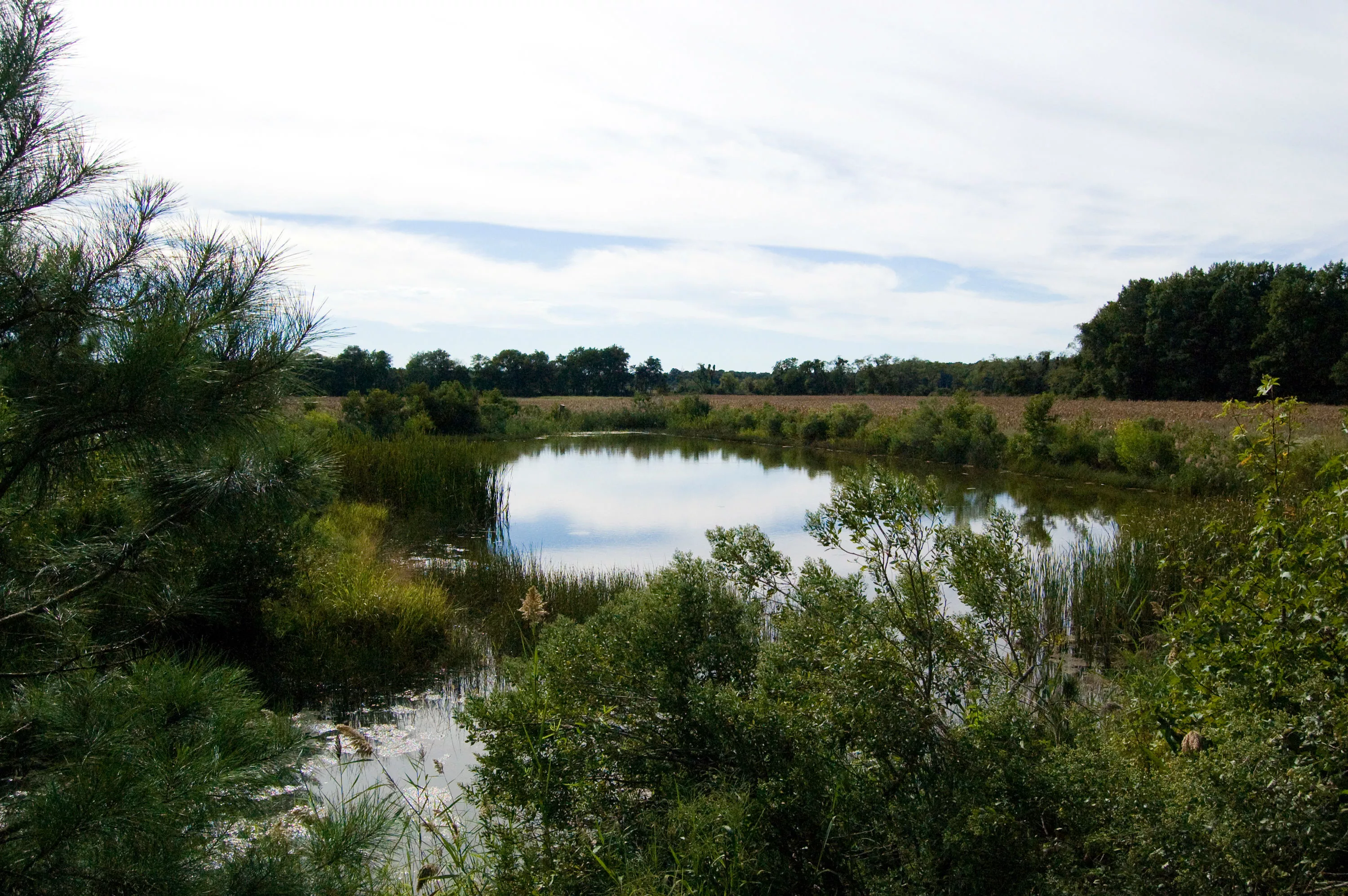 Graves Farm Road, Lewes, Delaware 19968 - pond_1_uhjfsh