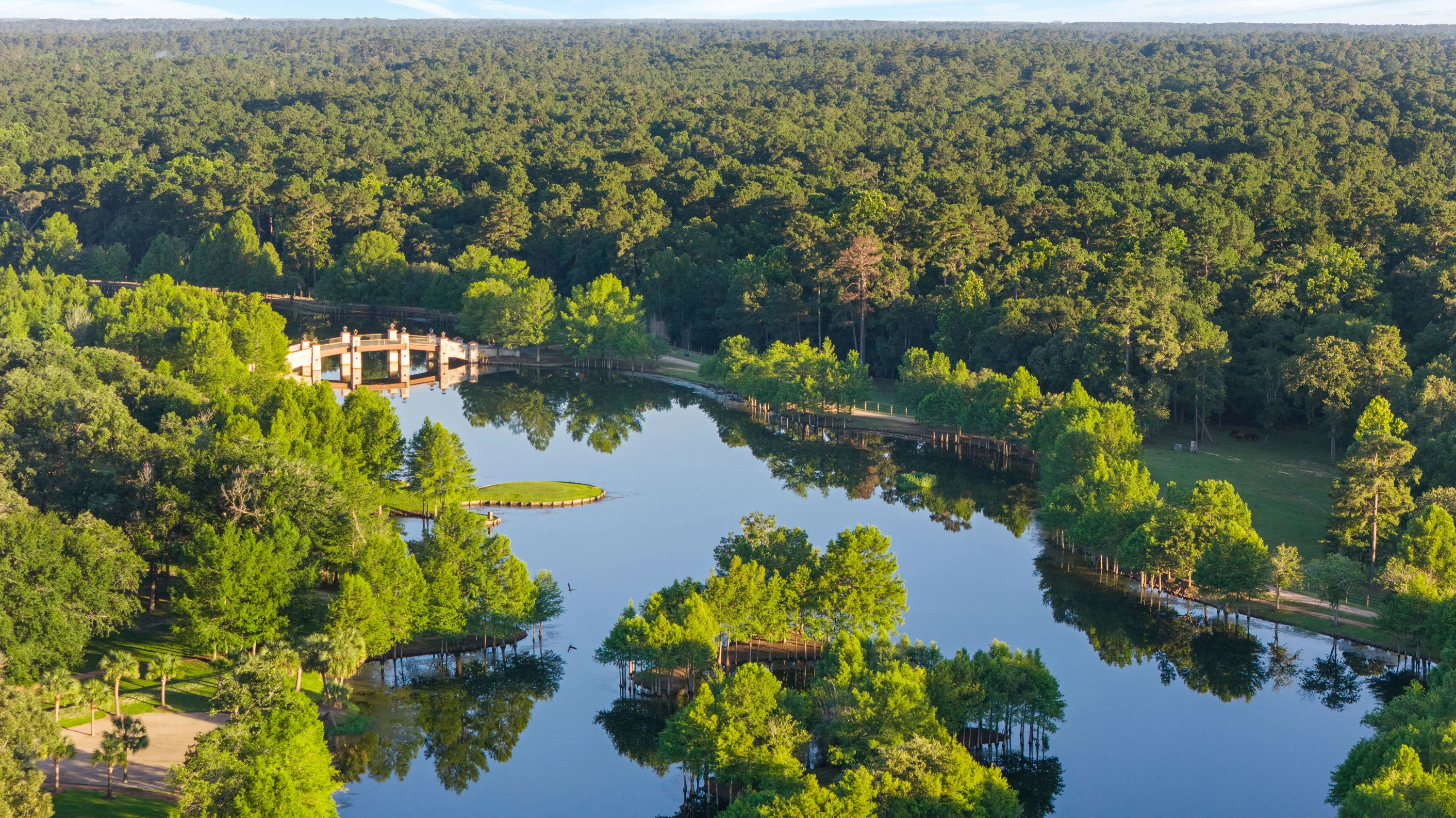 37307 Diamond Oaks Drive, Magnolia, Near Houston, Texas 77355 - 37307_Diamond_Oaks_Dr_22_ccxwra