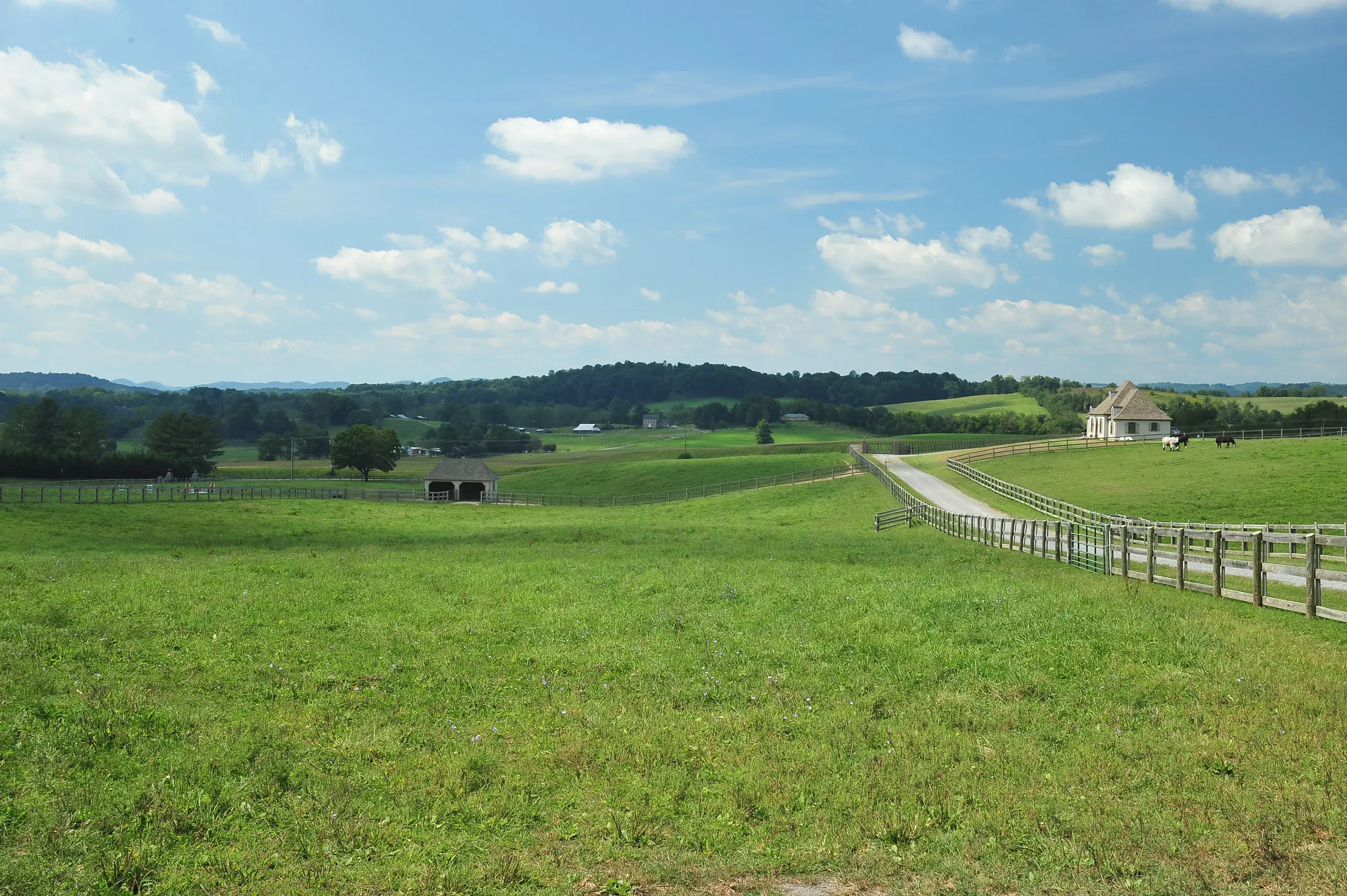 16308 Old Jonesboro Road, Bristol, Virginia 24202 - rolf-carlyle-equestrian-centre-bristol-va-luxury-real-estate-12_yujqvo