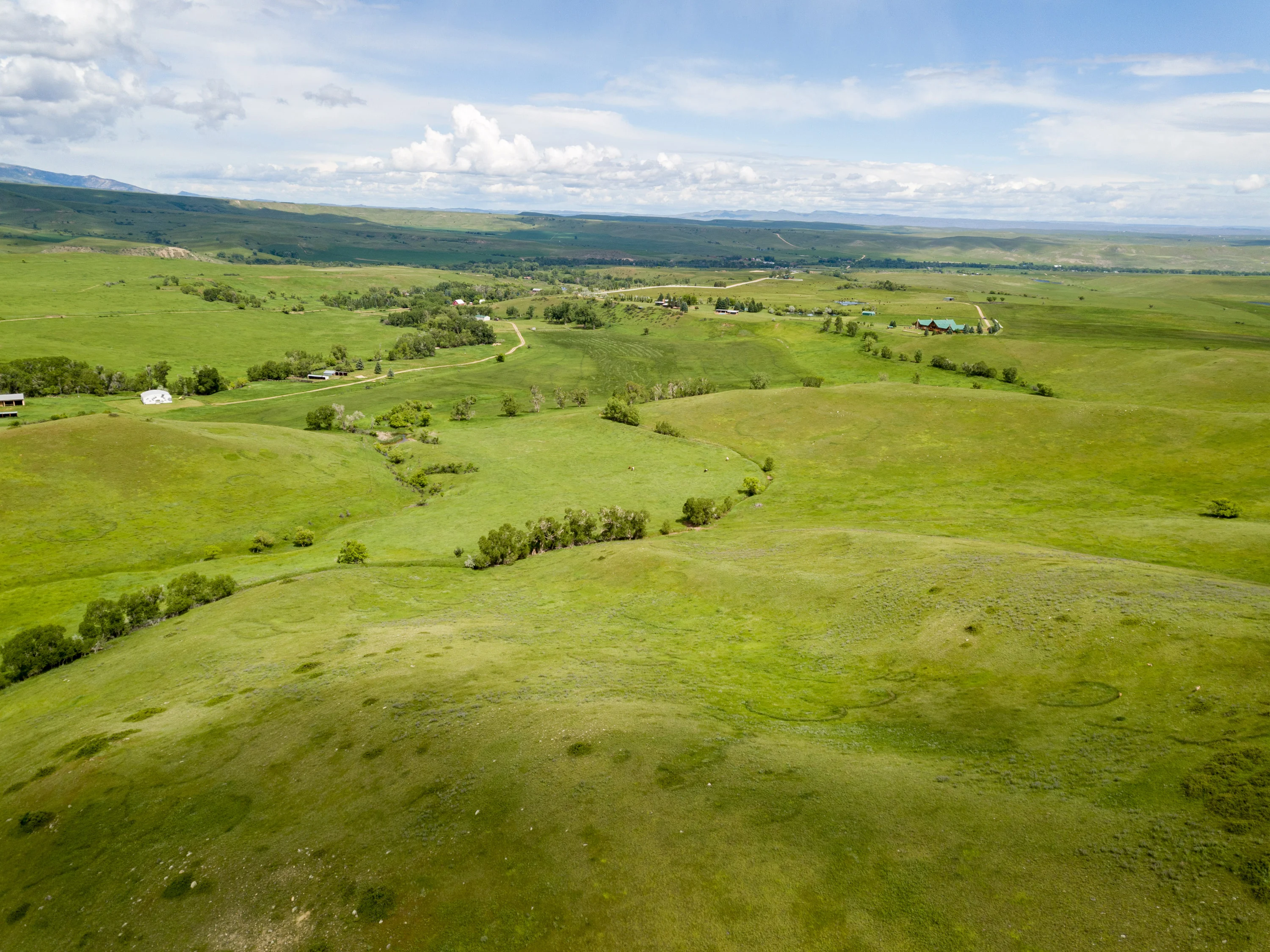 43 Rapid Creek Road, Sheridan, Wyoming 82801 - holy-cow-ranch-43-rapid-creek-road-sheridan-wyoming28_br3ure