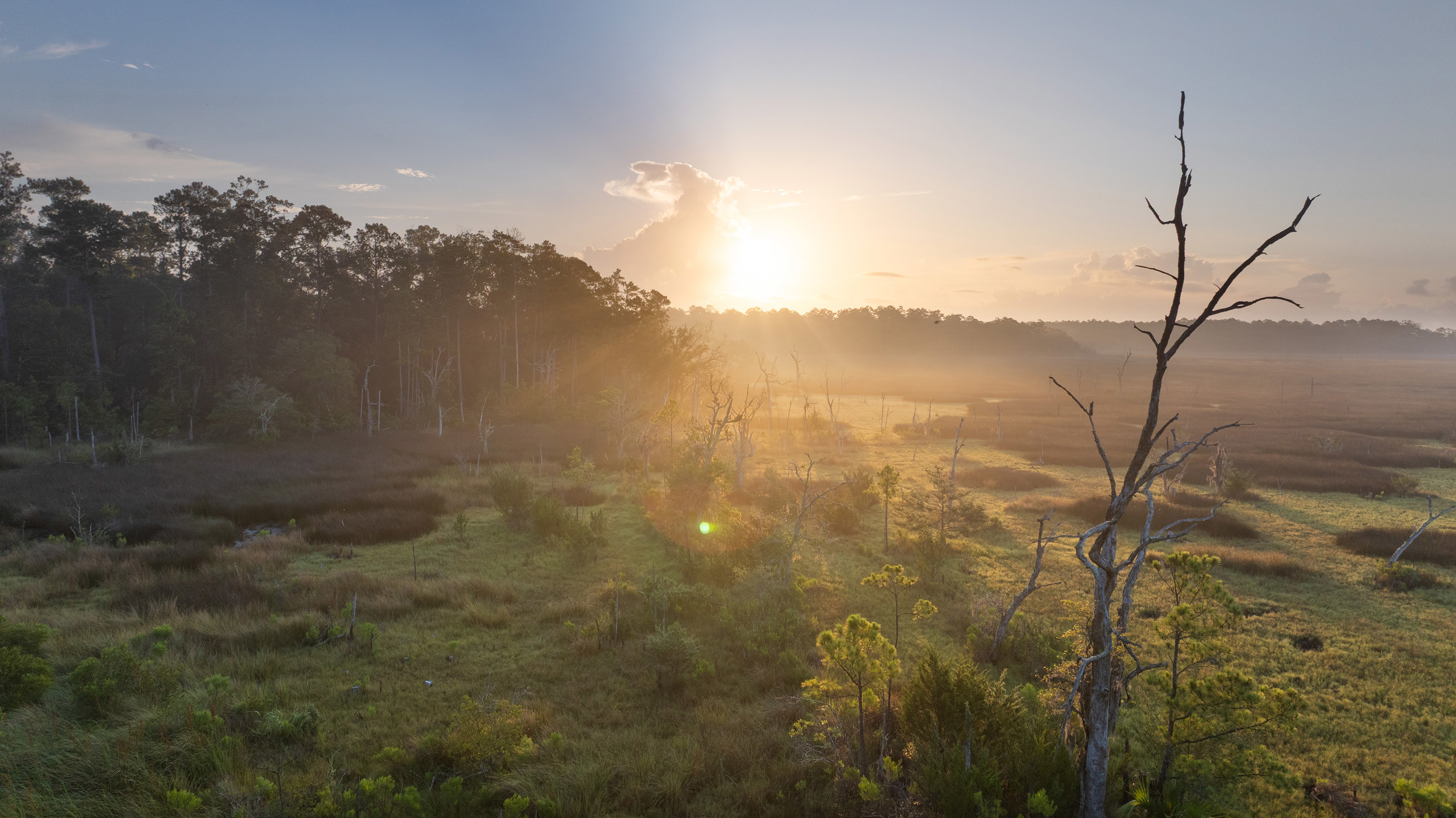 69 Hampton Island - 1300 Retreat Road, Riceboro, GA 31323 - Luxury Real Estate - Concierge Auctions
