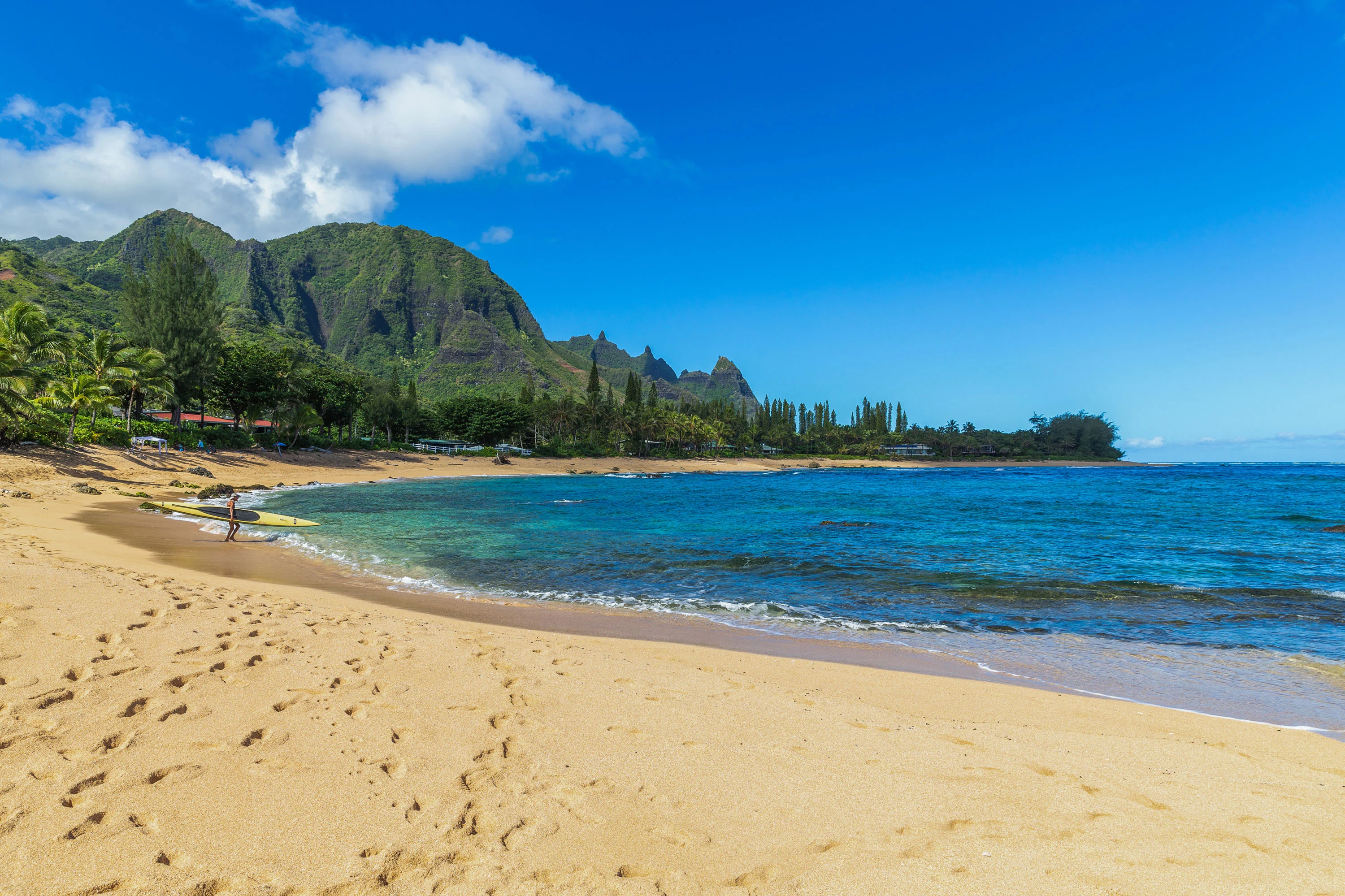 5-7094 Kuhio Highway, Hanalei, Kauai, Hawaii 96714 - 5-7094_Kuhio_Hwy_26_snxfxh
