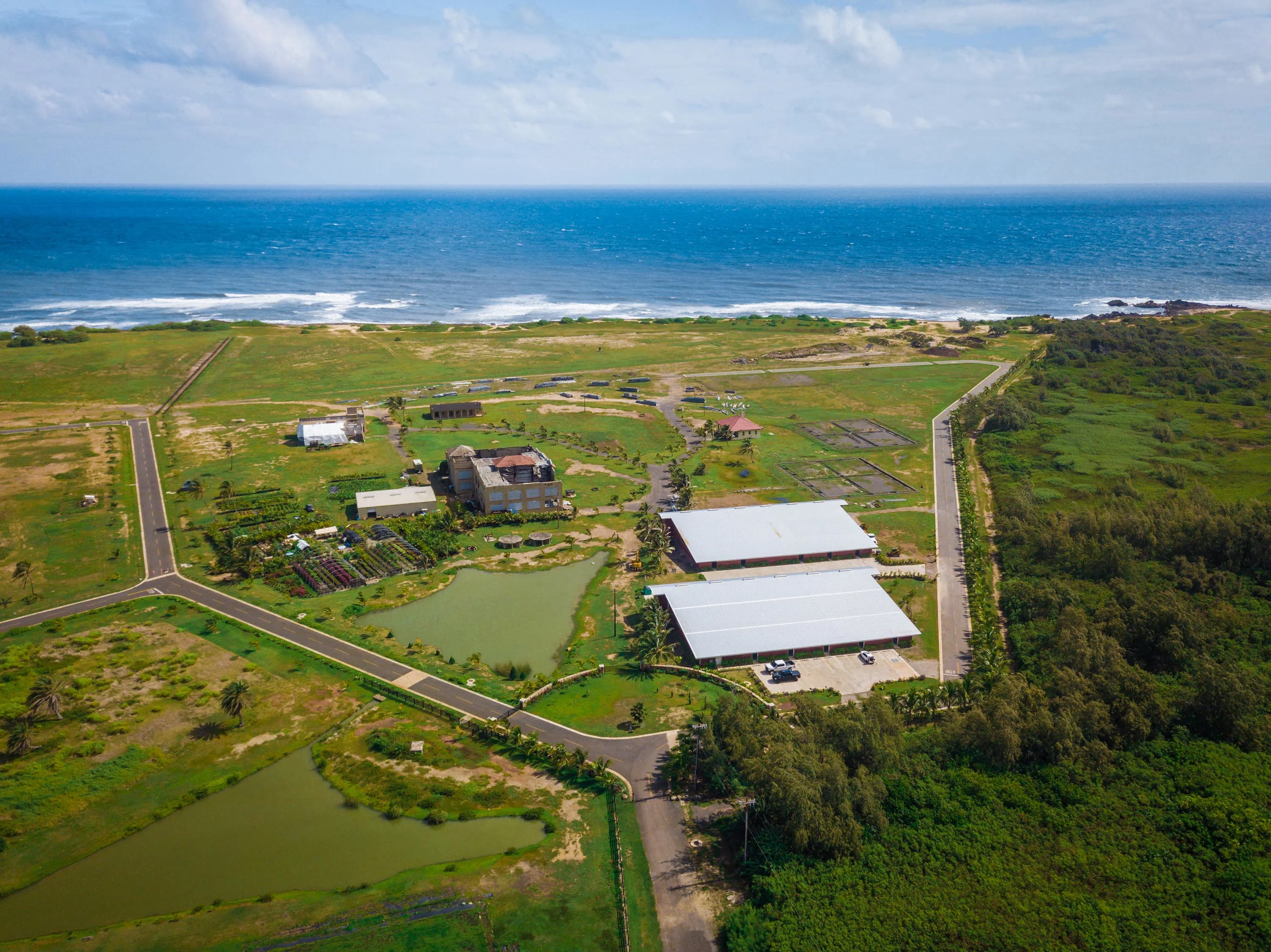 56-1089 Kamehameha Hwy, North Shore, Oahu, Hawaii 96731 - 56-1089-kamehameha-highway-kahuku-hawaii03_u655cx