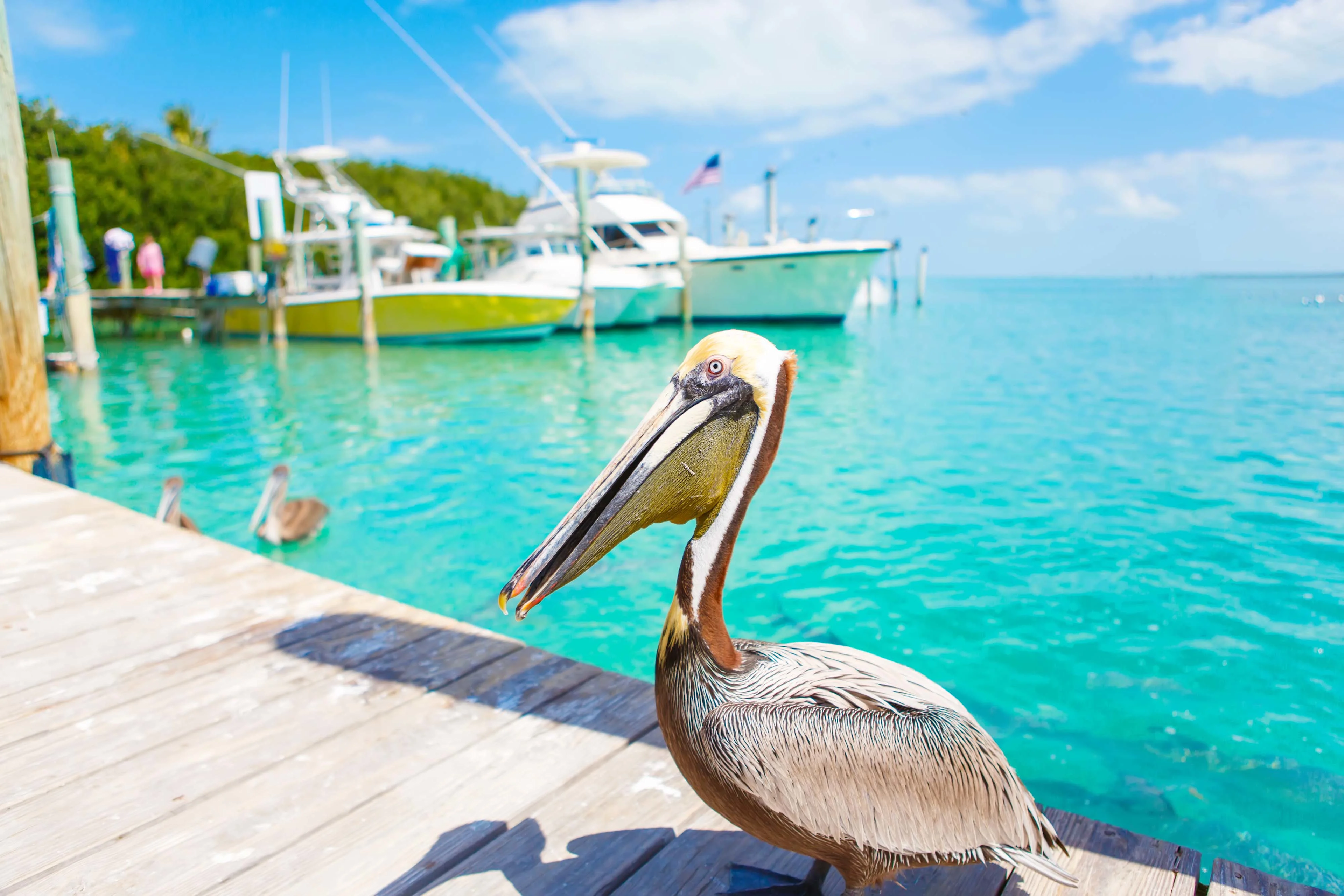 80639 Old Highway, The Maison, Florida Keys, Florida 33036 - the-maison-unit-404-islamorada-florida-27_aq7sgn
