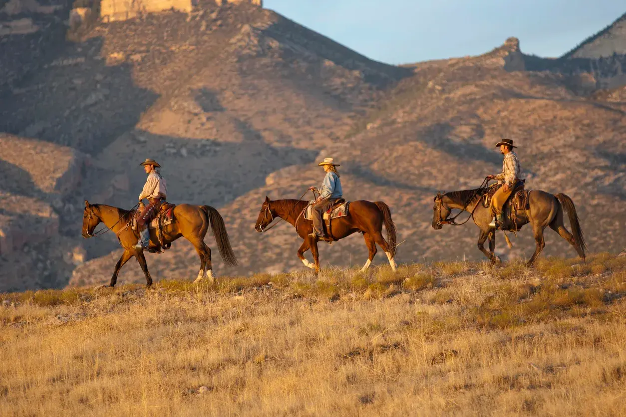 Mountain Towns: End of Summer Season Sale | Online Auction