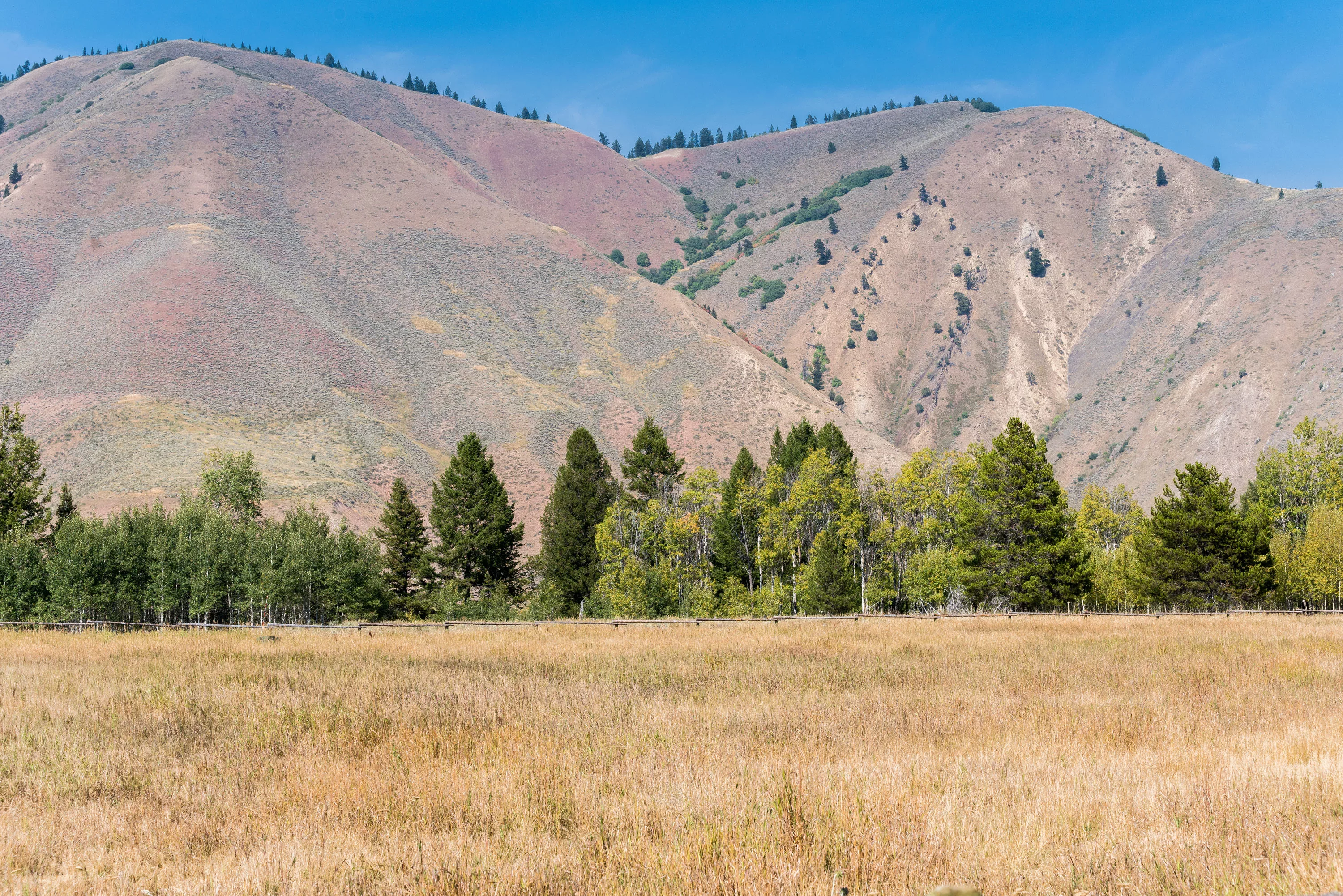985 Elk Ridge Road, Jackson Hole, Wyoming  - 985_Elk_Ridge_Road_18_z4lsqe