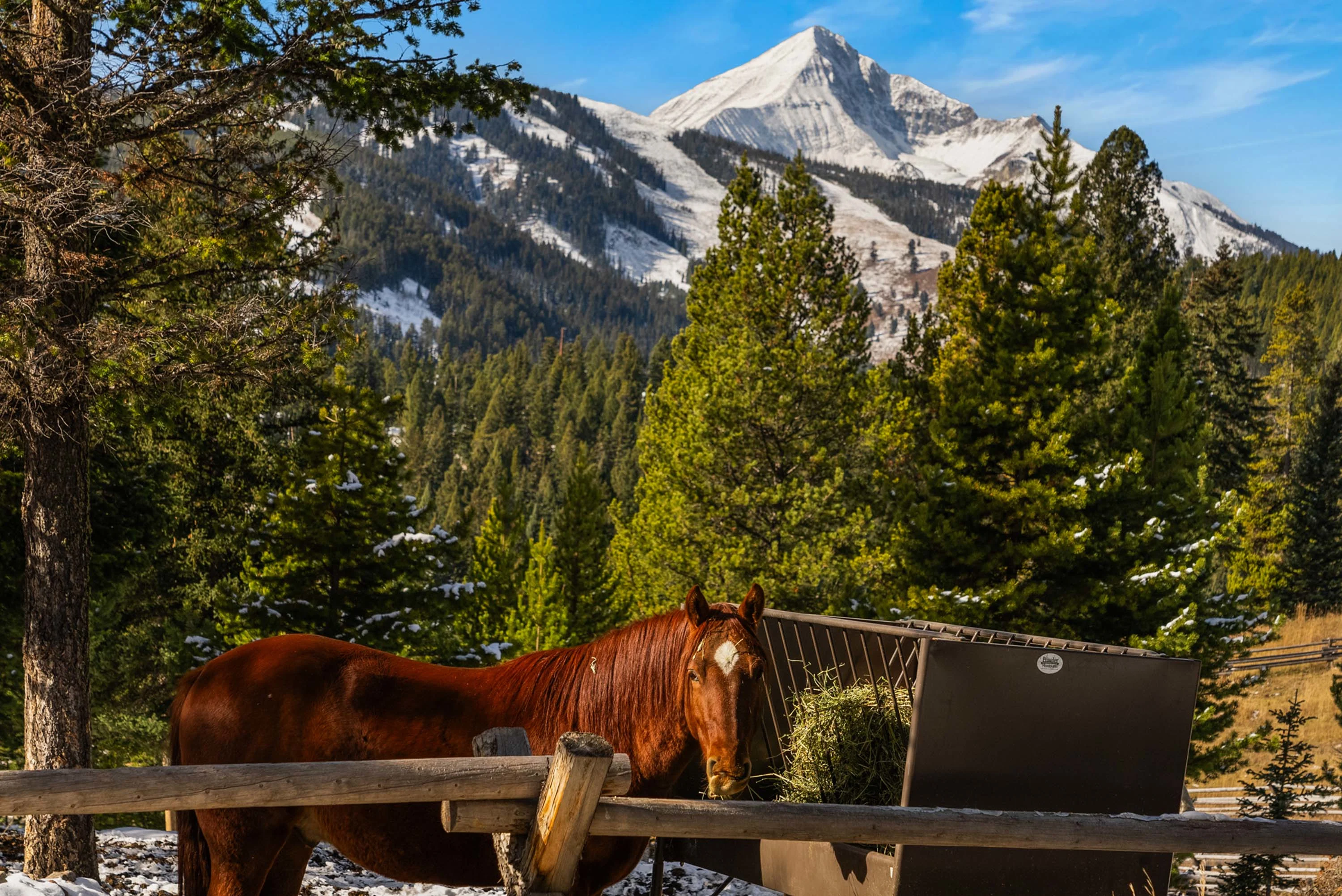 5255 Lone Mountain Trl, Big Sky, Montana 59716 - 38_-_DSC01889_wbztql