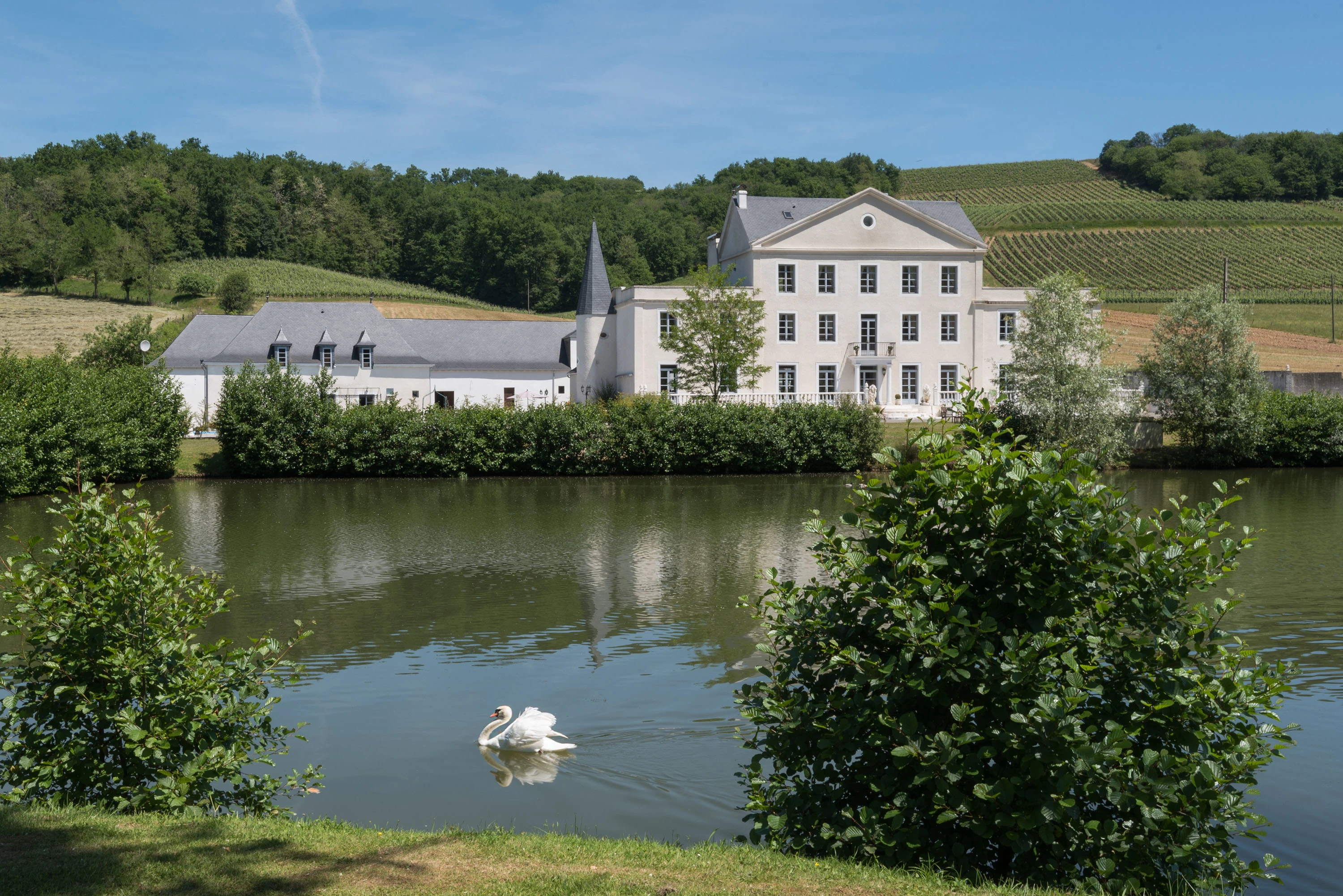 Route de Cardesse 64360, Pau, Pyrénées-Atlantiques , France - chateau-roquehort-monein-france_01_yr2vf9