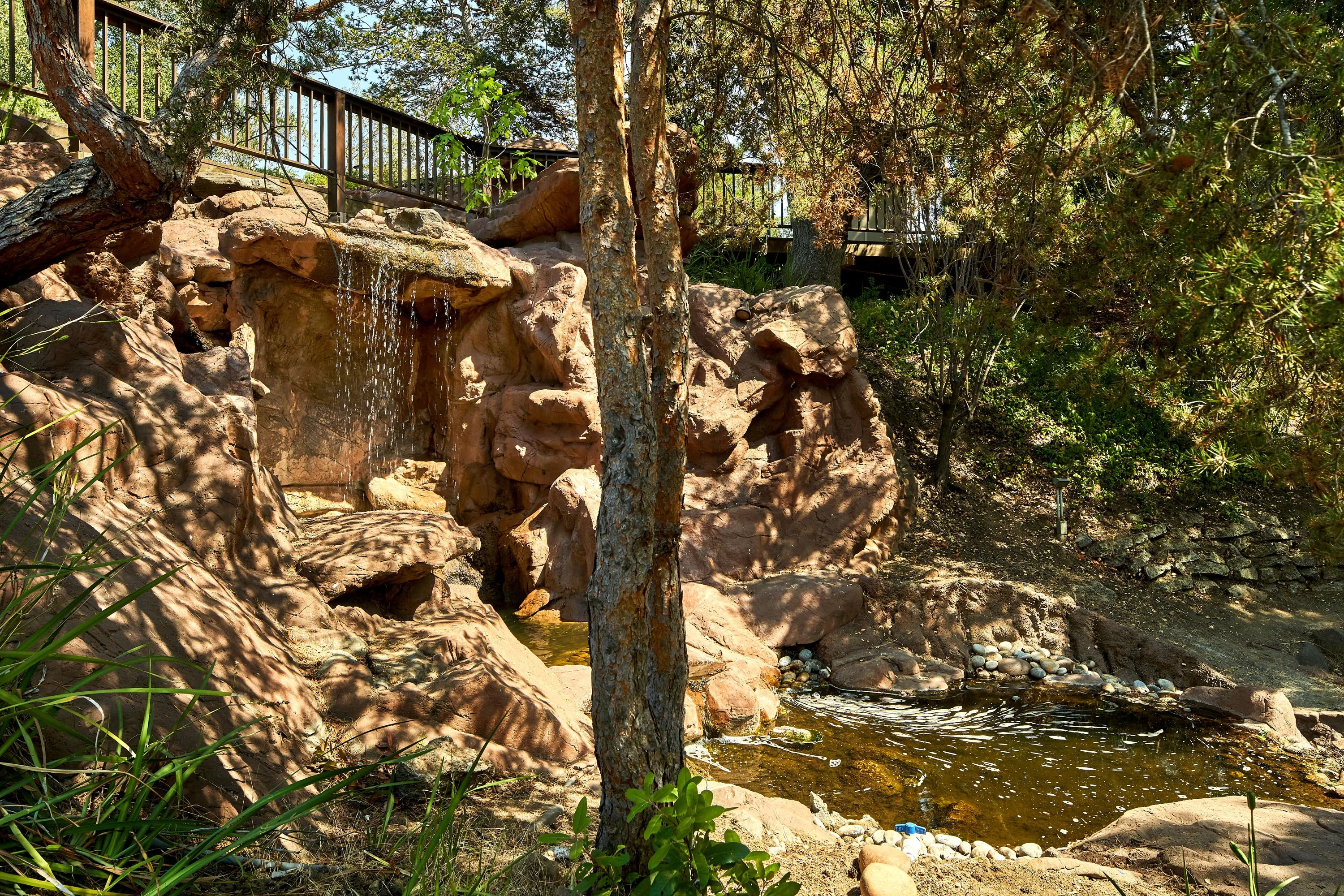 690 Loyola Drive, Silicon Valley, California 94024 - 690-loyola-drive-los-altos-hills-california51_h4oerp