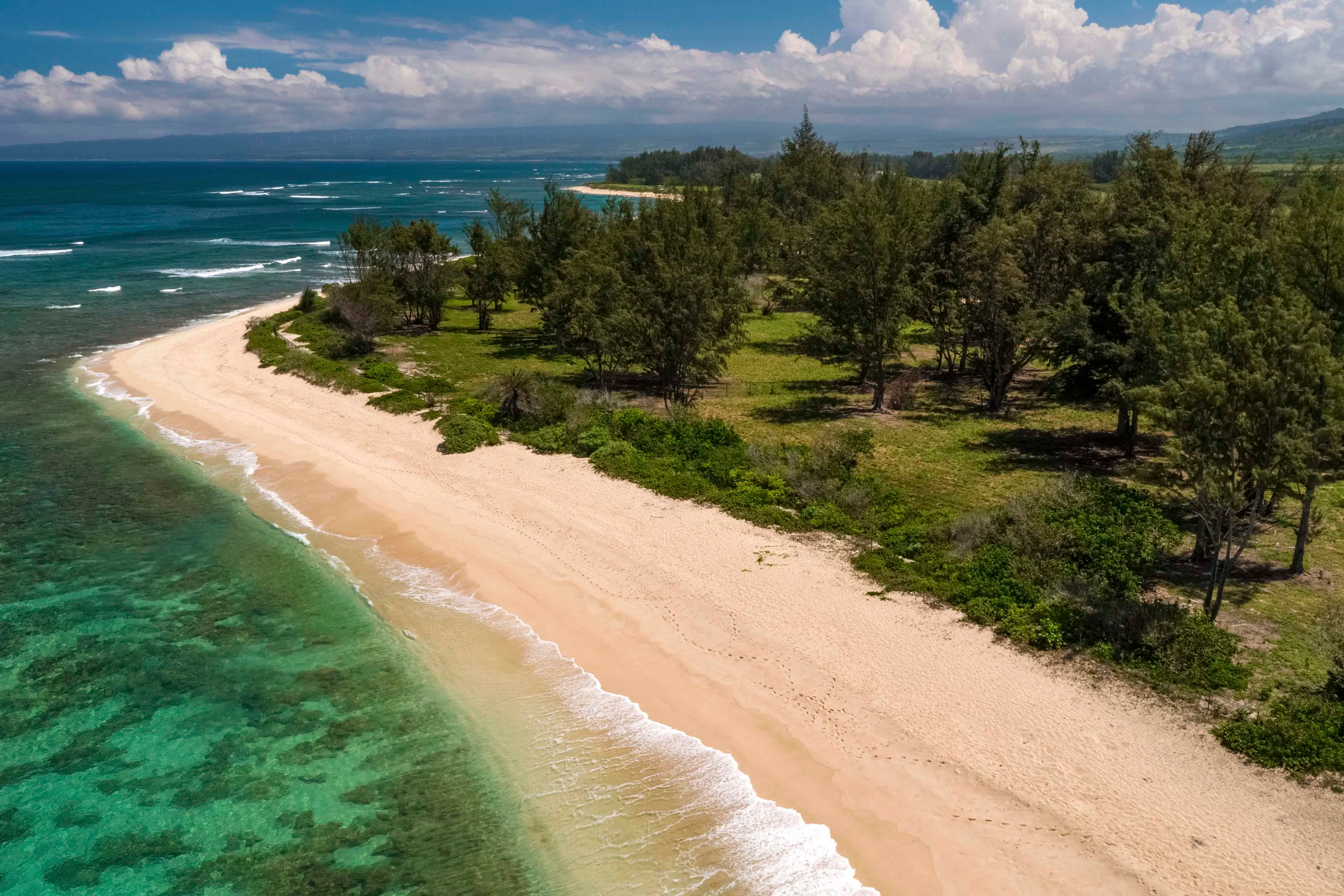 131 Farrington Highway, North Shore, Oahu, Hawaii 96791 - 131-farrington-highway-waialua-hawaii11_f8iwwq