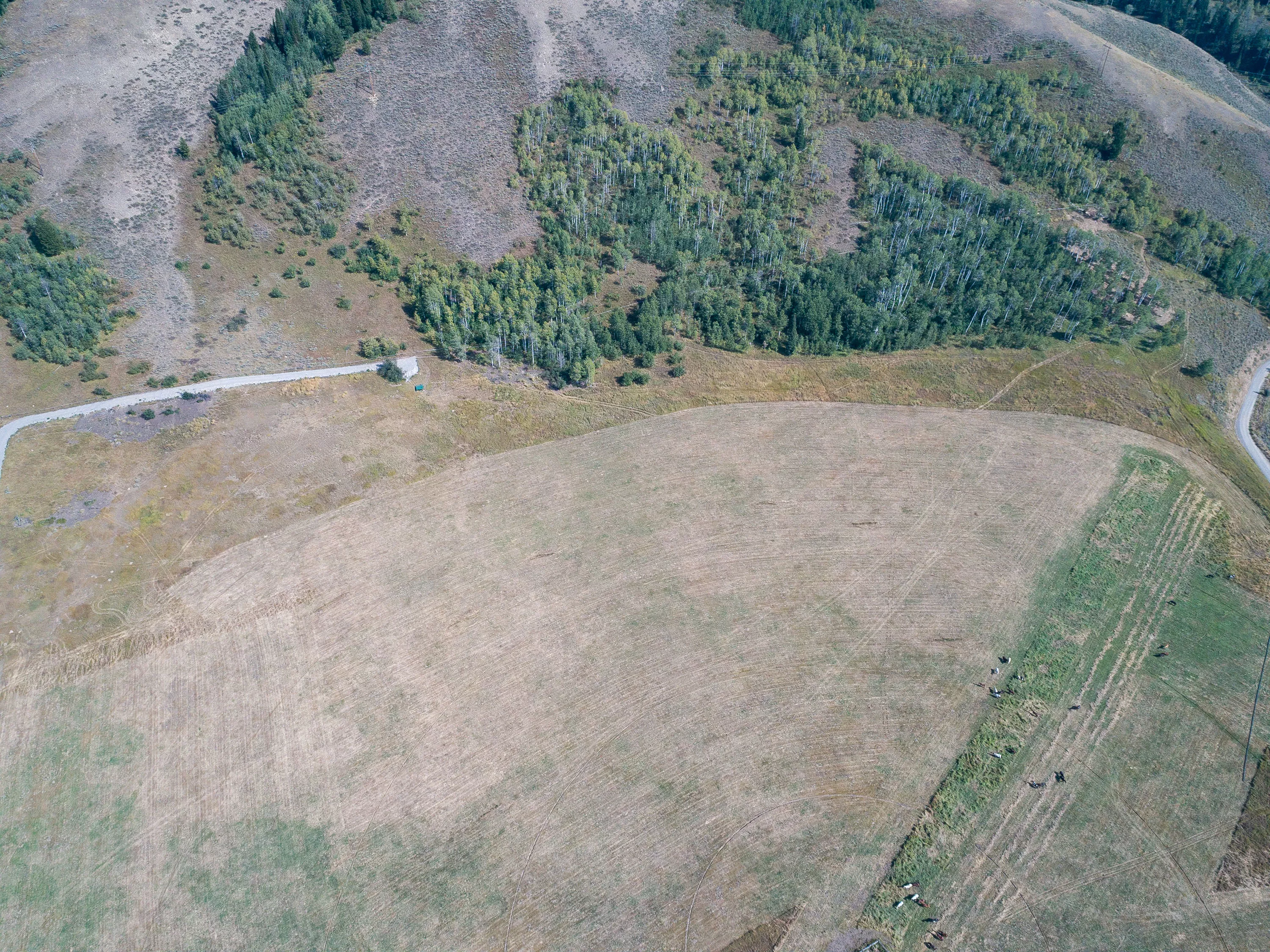 985 Elk Ridge Road, Jackson Hole, Wyoming  - 985_Elk_Ridge_Road_05_gir9ia