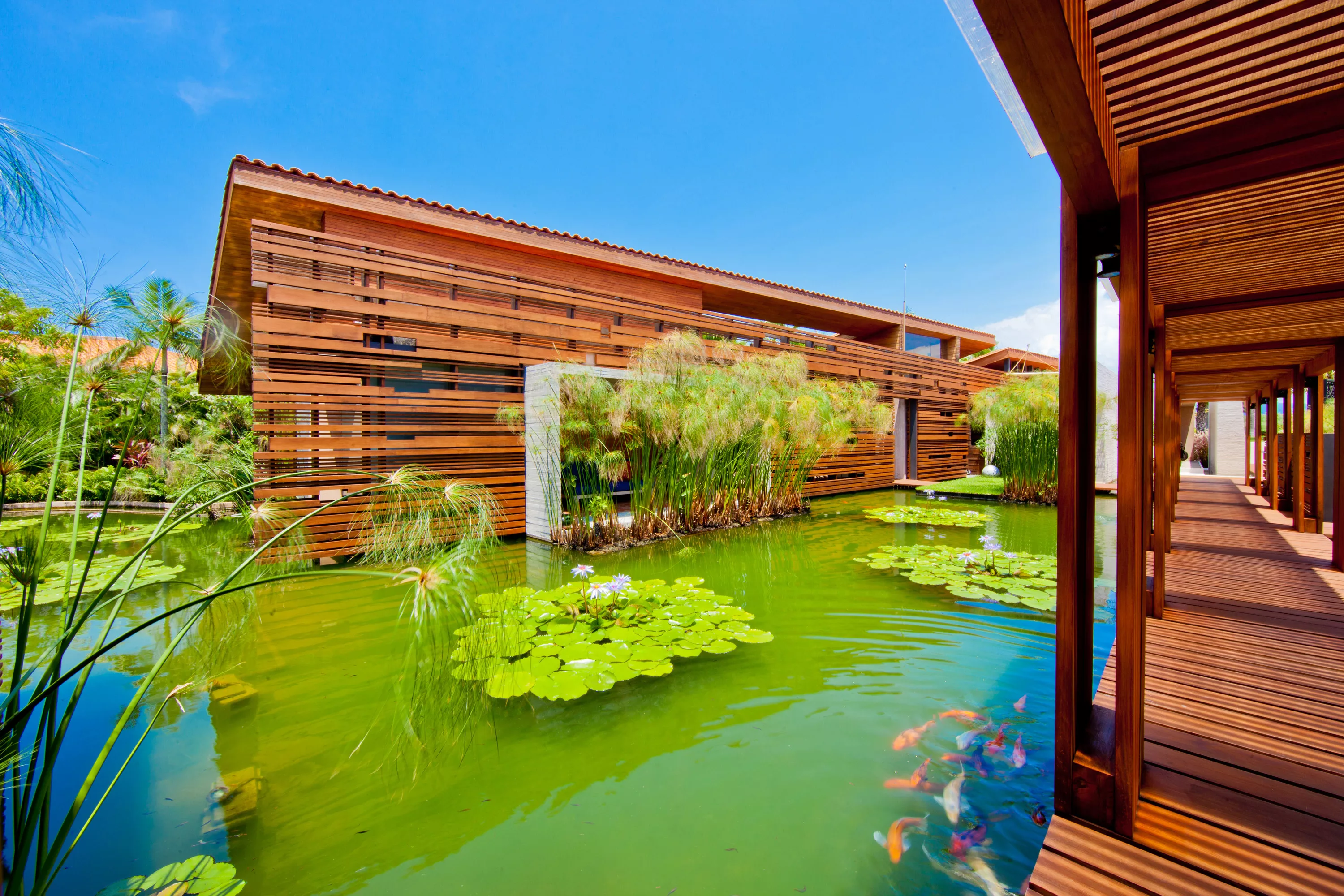 La Punta Estates Lot #9, Punta Mita, Nayarit 63734, Mexico - la-punta-estates-lot-9-punta-mita-nayarit-mexico-63734_00_01_bjnlhk