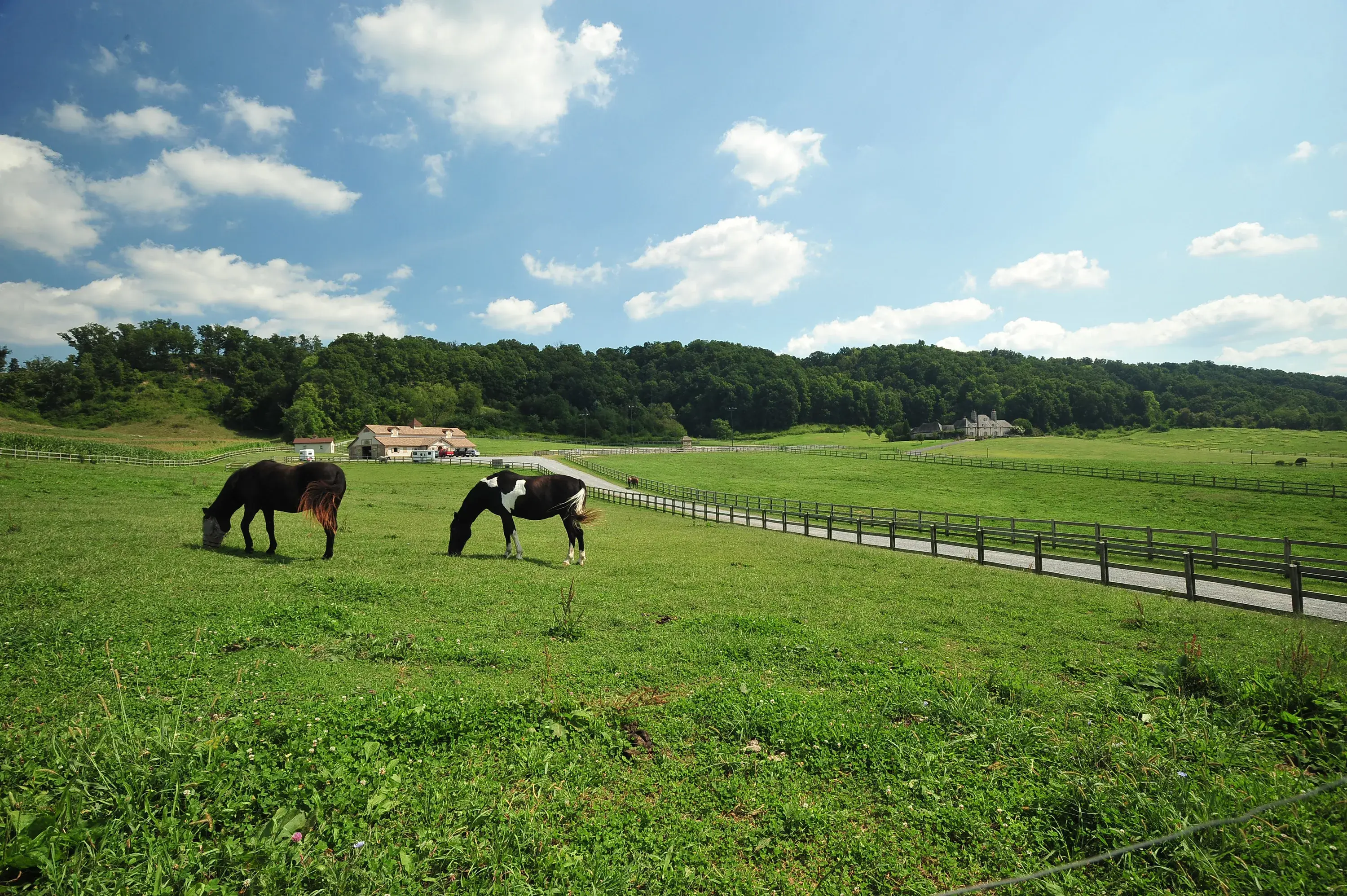 16308 Old Jonesboro Road, Bristol, Virginia 24202 - rolf-carlyle-equestrian-centre-bristol-va-luxury-real-estate-13_xre5p2