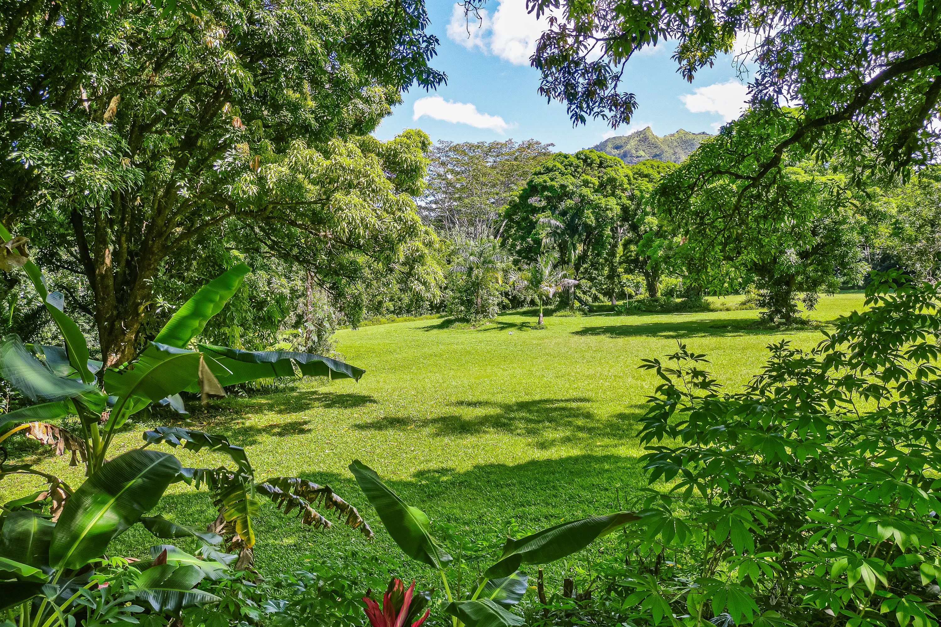 Kuhio Highway, Hanalei, Kauai, Hawaii  - Hanalei_Hideaway_14_pygaac
