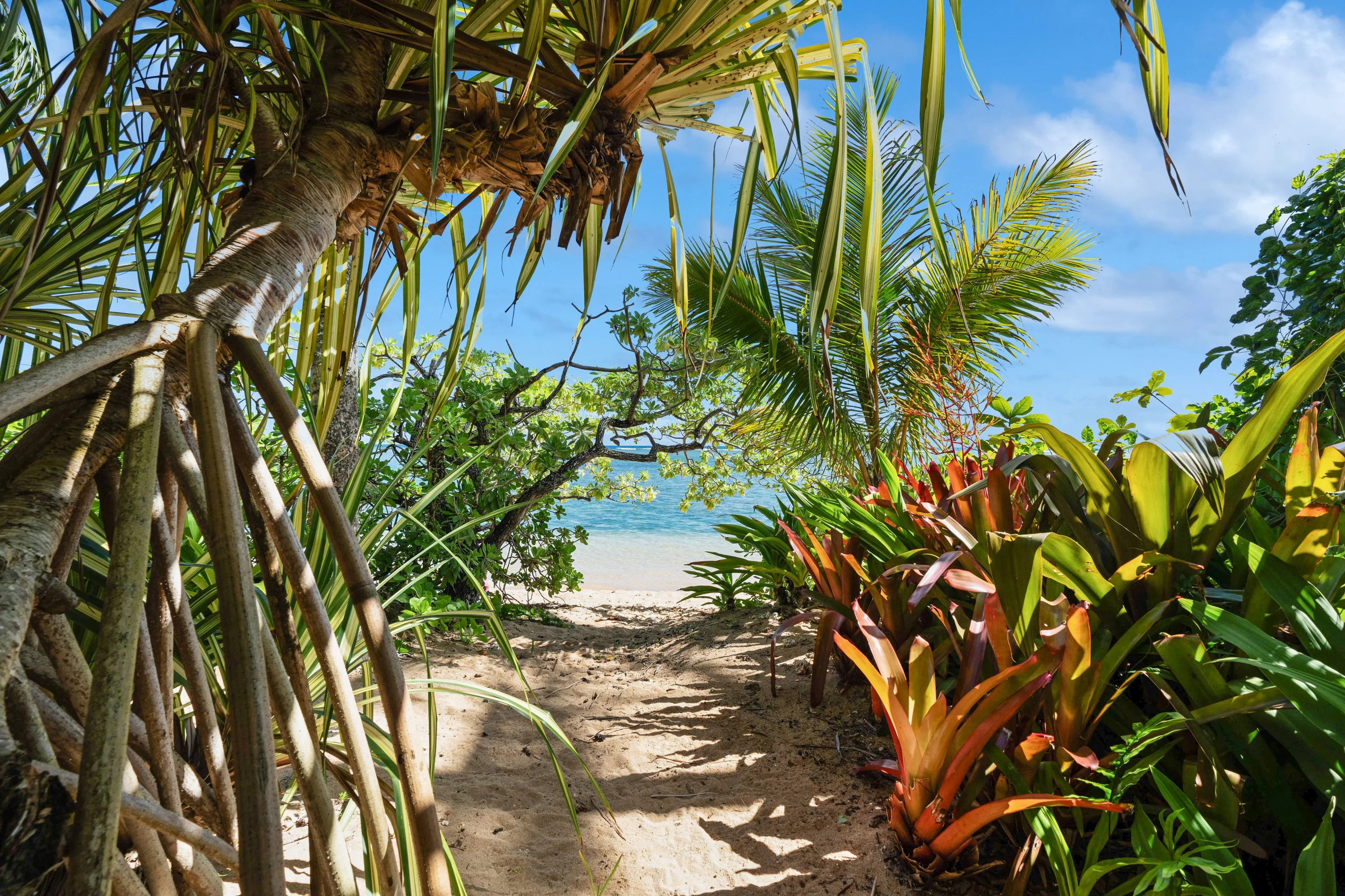 3704 Anini Road, North Shore, Kauai, Hawaii 96754 - 3704_Anini_Rd_30_jzxhgj
