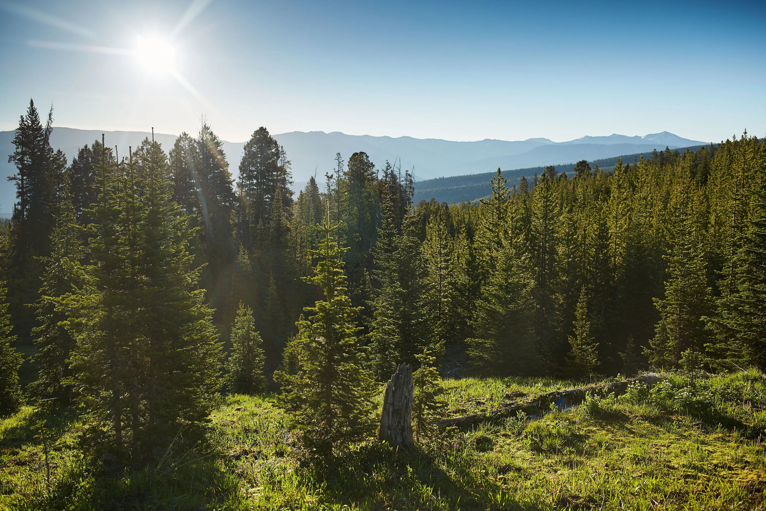 Freedom Pass, Big Sky, Montana  - big-ez-phase-3-big-sky-mt-04-27-18-42-4242_ptv9vg