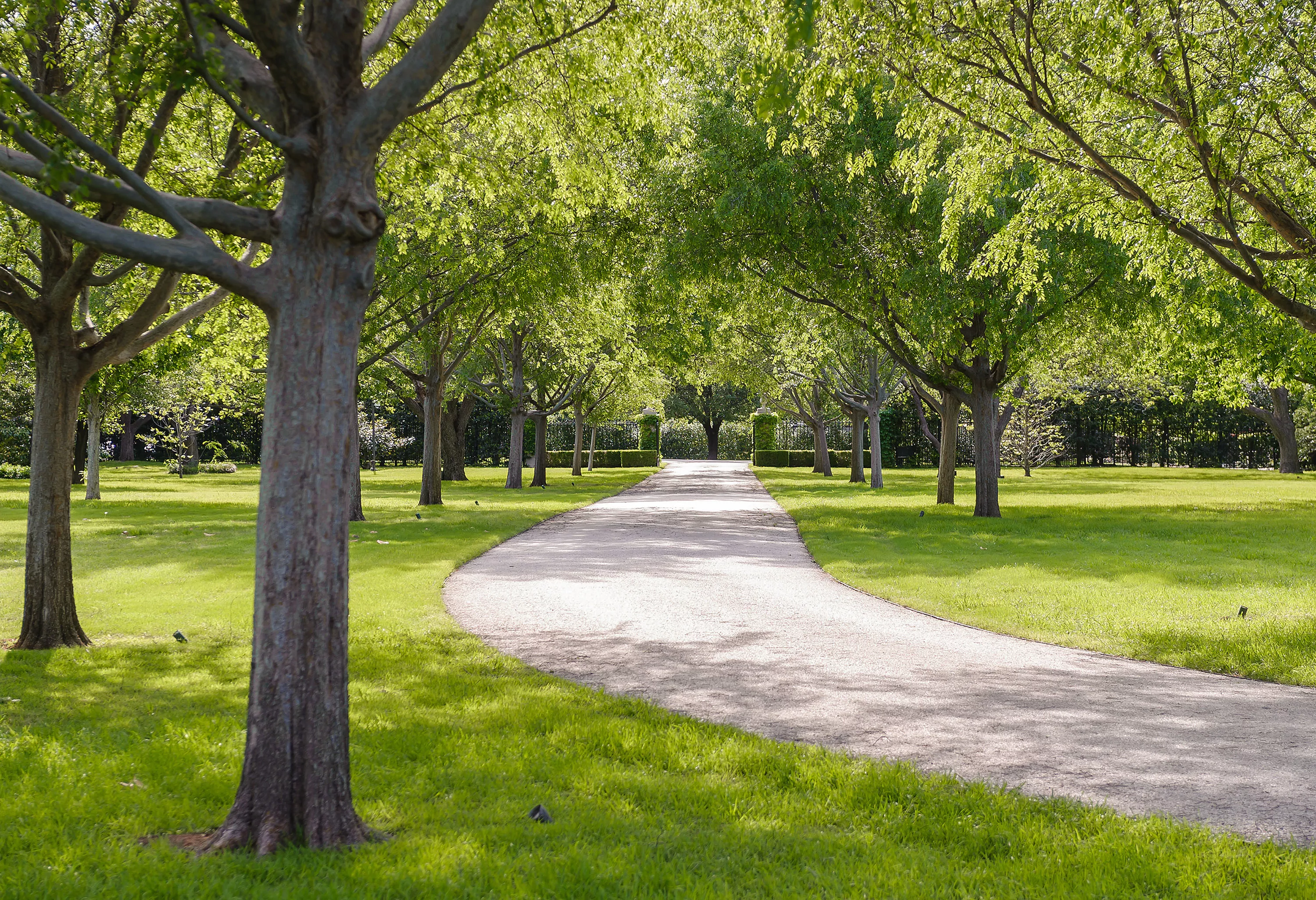 10000 Hollow Way Road, Dallas, Texas 75229 - walnut-place-dallas-texas04_ripn7o