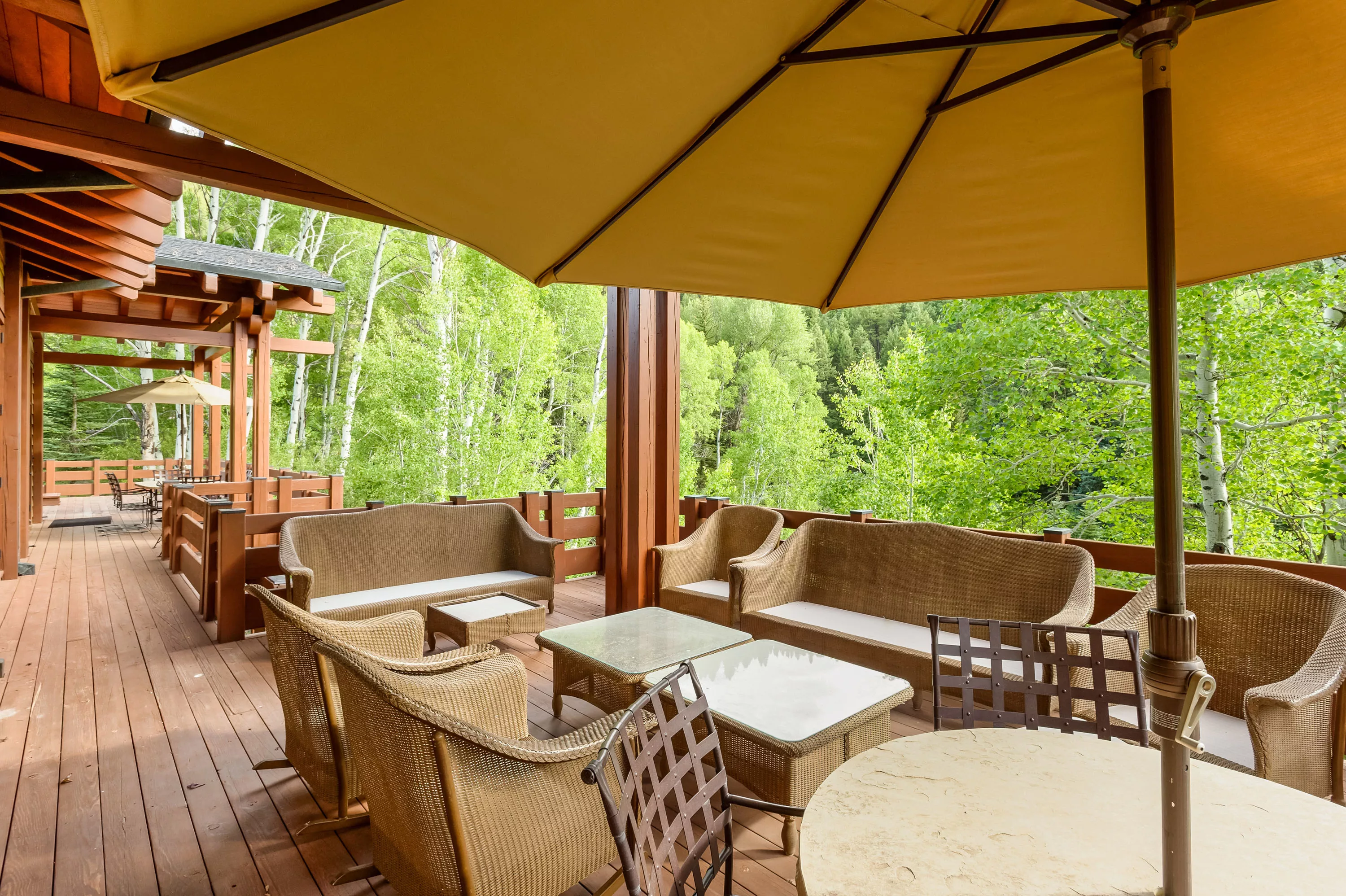 3448 Woody Creek Road, Aspen, Colorado 81656 - aspen_21_ogzvtm