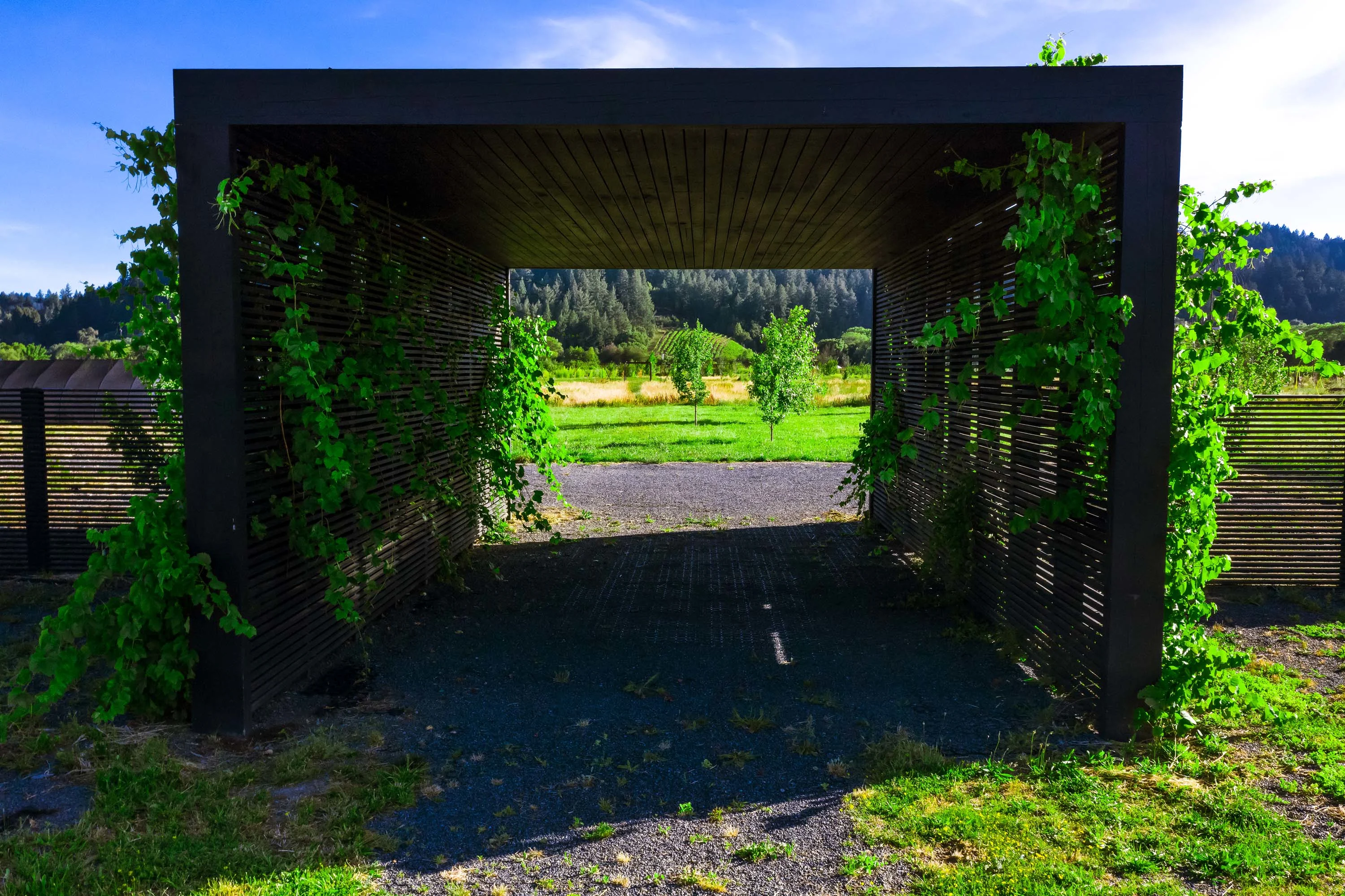 2836 Dry Creek Road, Sonoma County, California 95448 - 2836-dry-creek-road-healdsburg-california57_xtm5hj