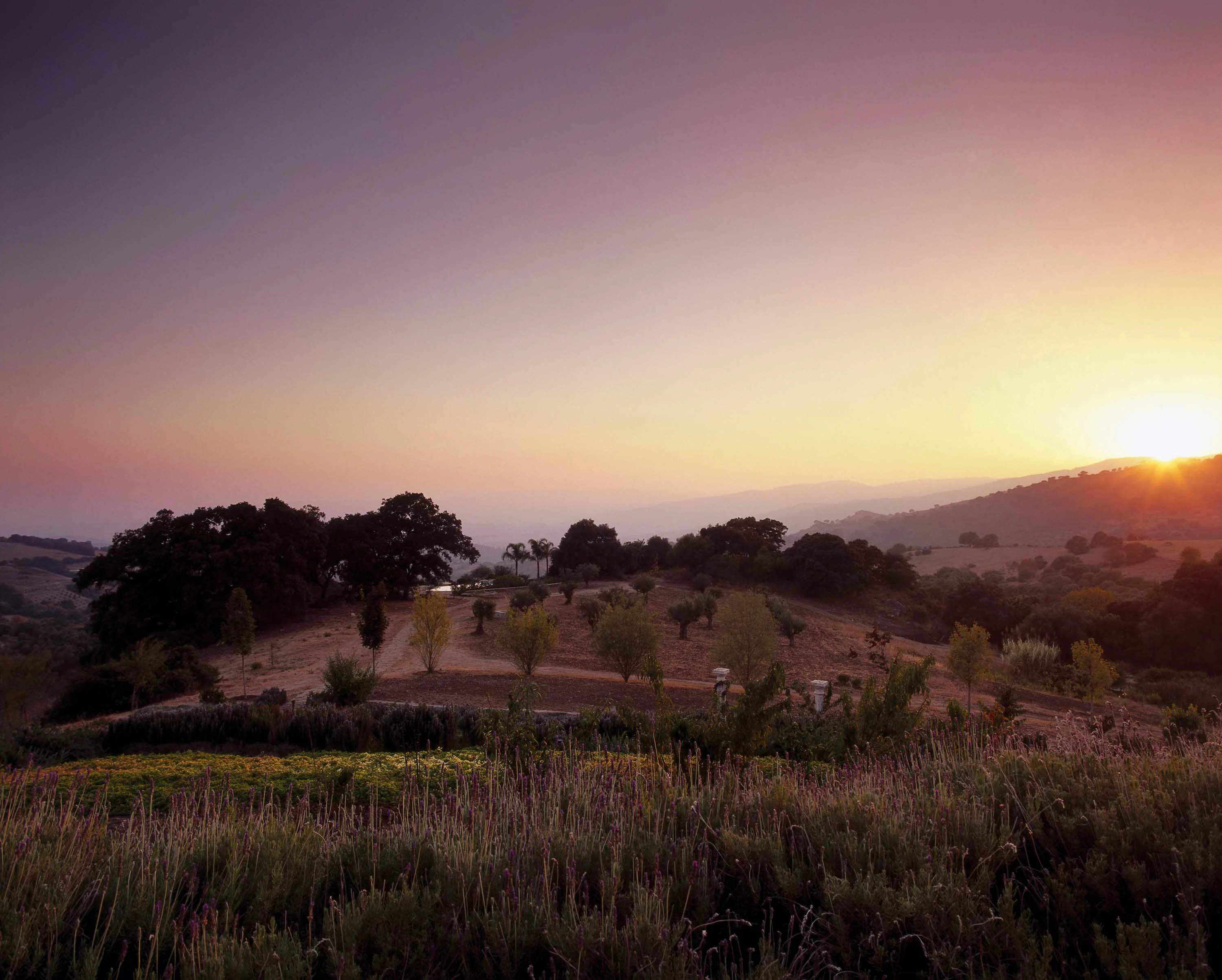 Finca La Paz, Near Marbella, Andalusia , Spain - la_paz_near_marbella_spain_40_duxuqw