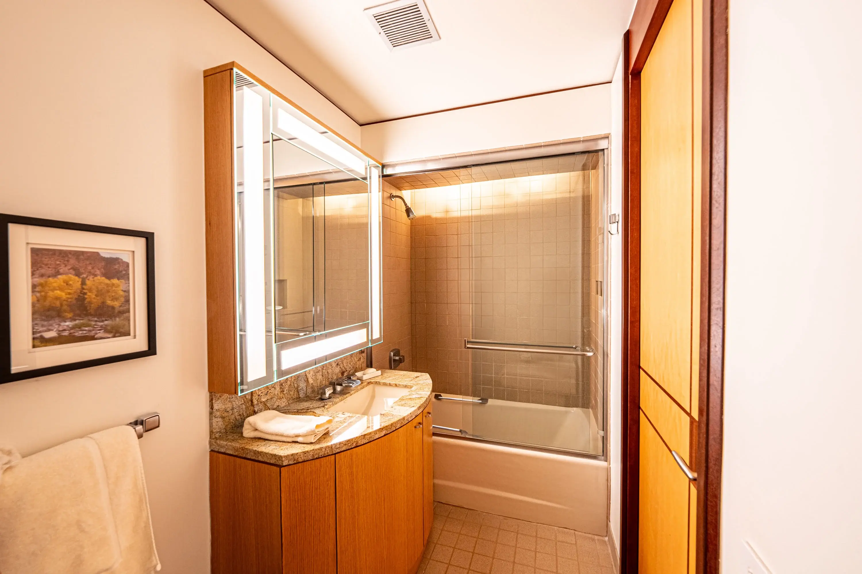 56 Rose Crown, Avon, Beaver Creek/Vail, Colorado 81620 - 56_Rose_Crown_26_lsx1ds