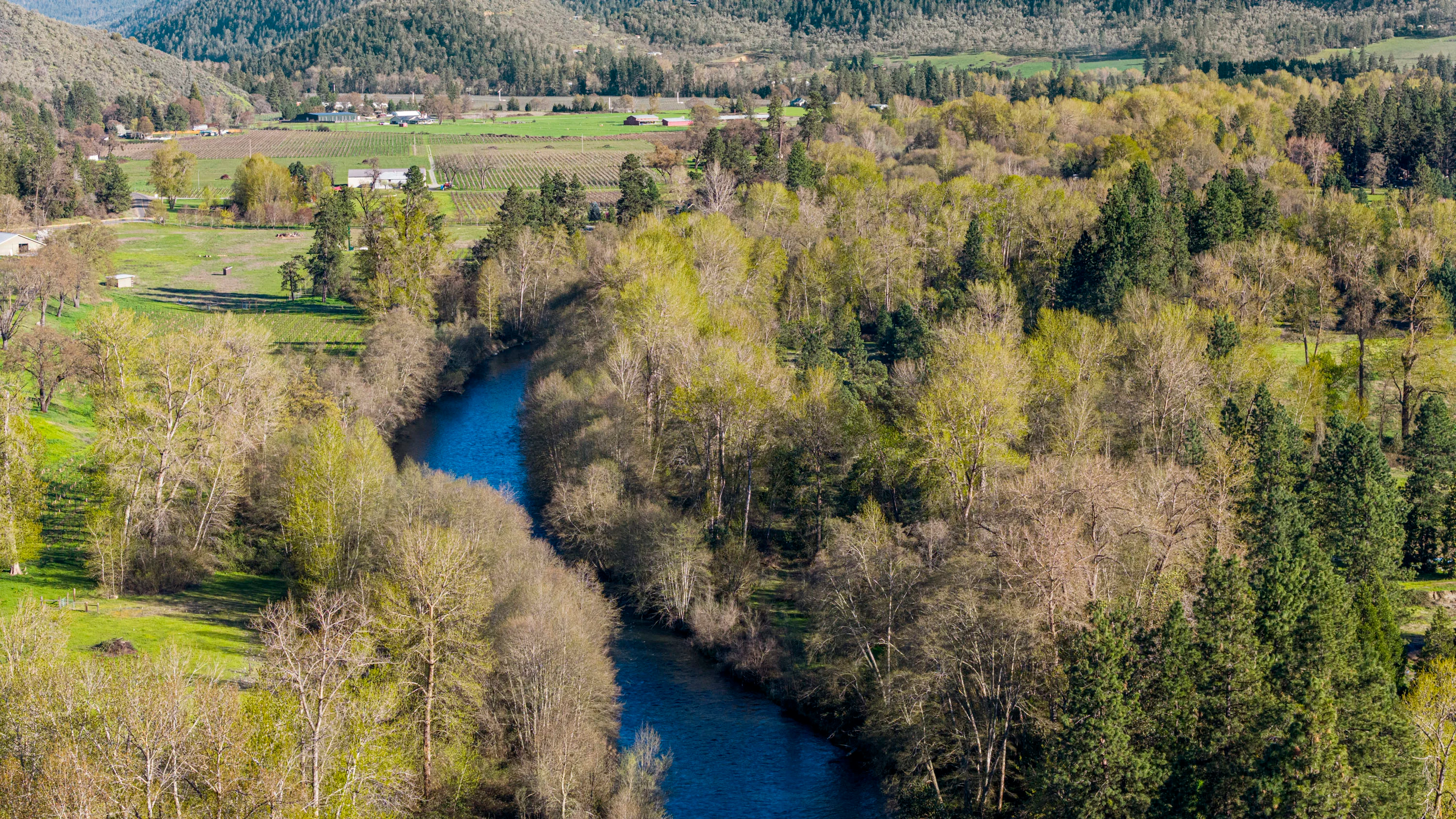 15855  Highway 238, Grants Pass, Oregon 97527 - 15577_Hwy_238_Grants_Pass_OR_18_x64ka0