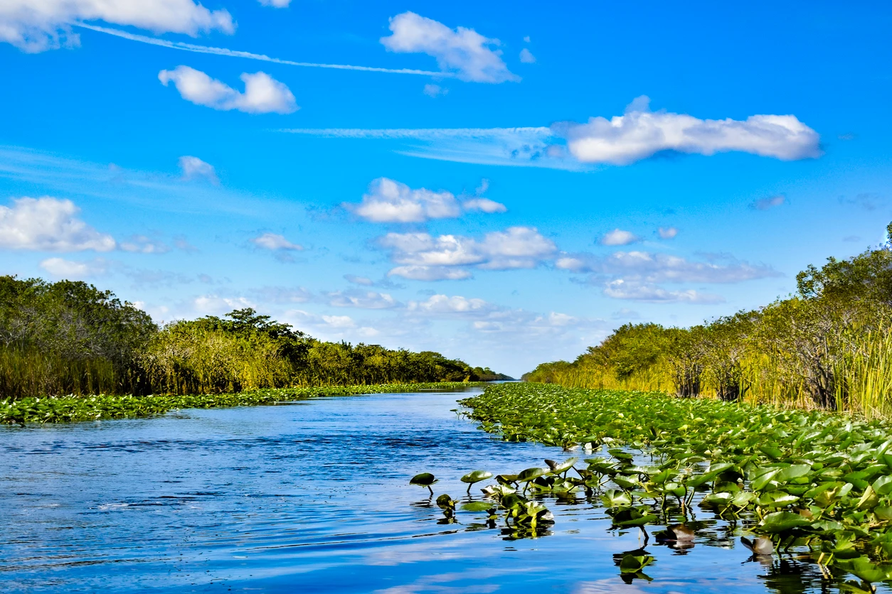 Okeechobee stock