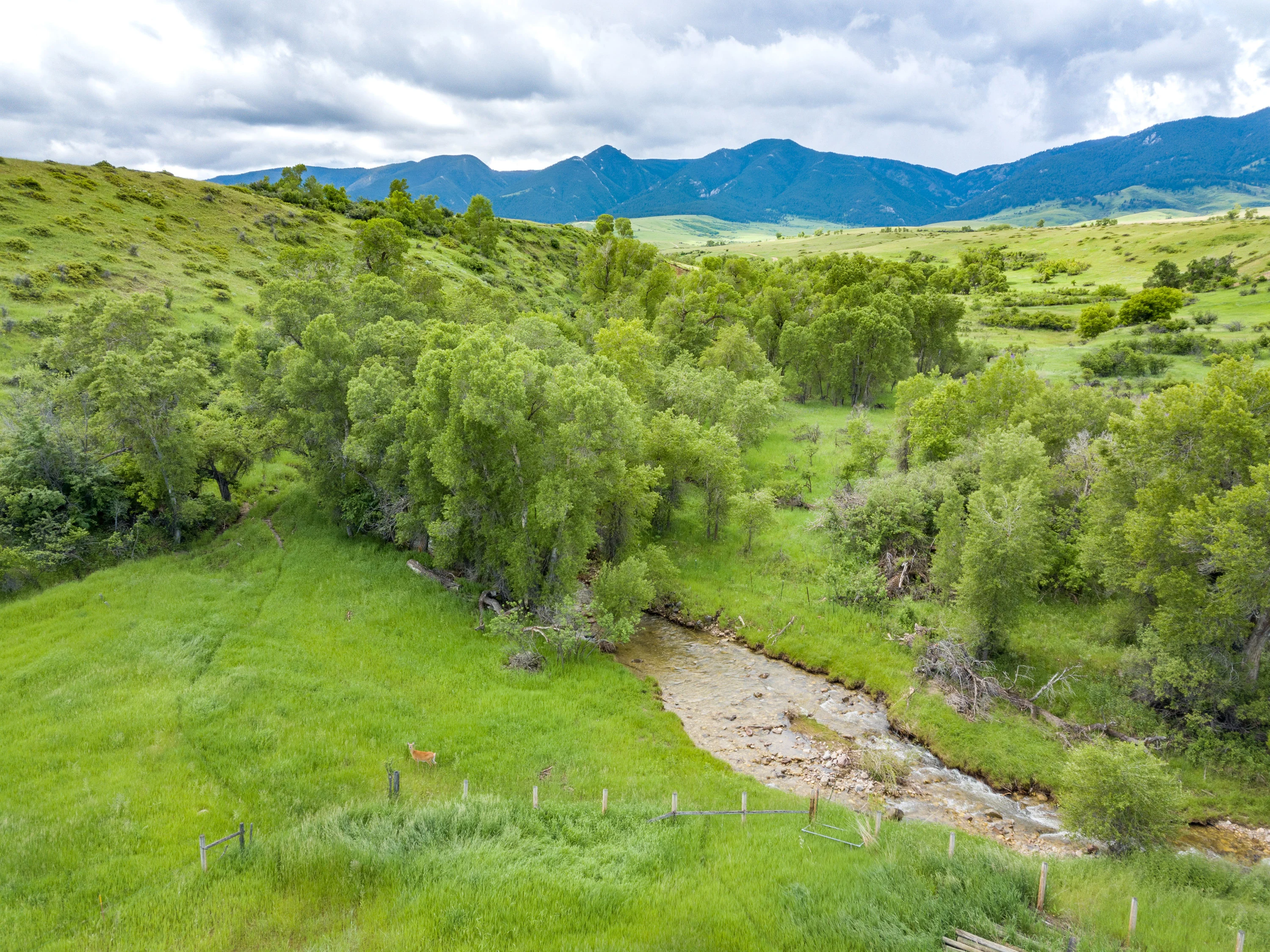 43 Rapid Creek Road, Sheridan, Wyoming 82801 - holy-cow-ranch-43-rapid-creek-road-sheridan-wyoming21_bgnxmg