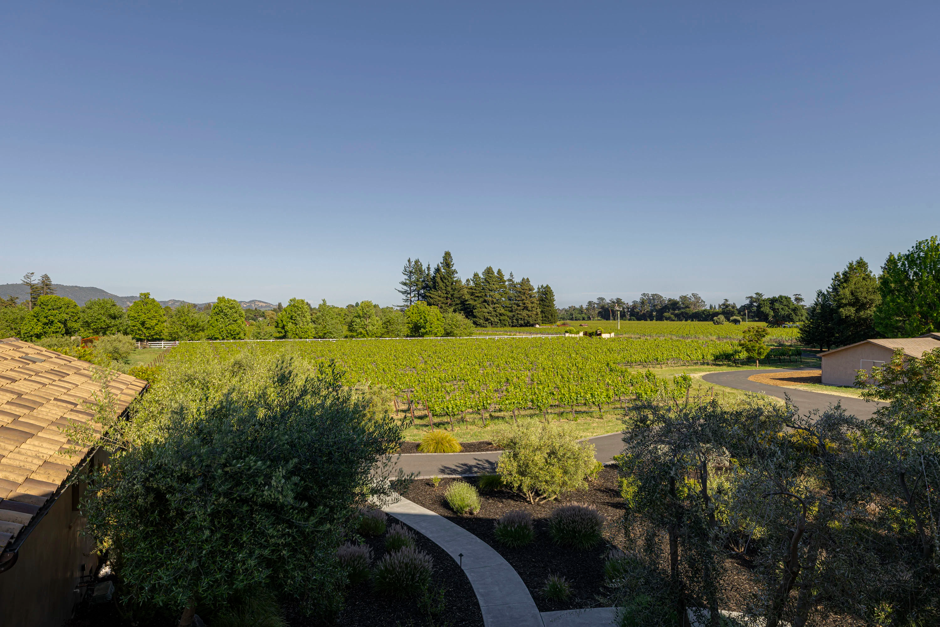 21001 Broadway, Sonoma, California 95476 - 21001_Broadway_56_hlvste