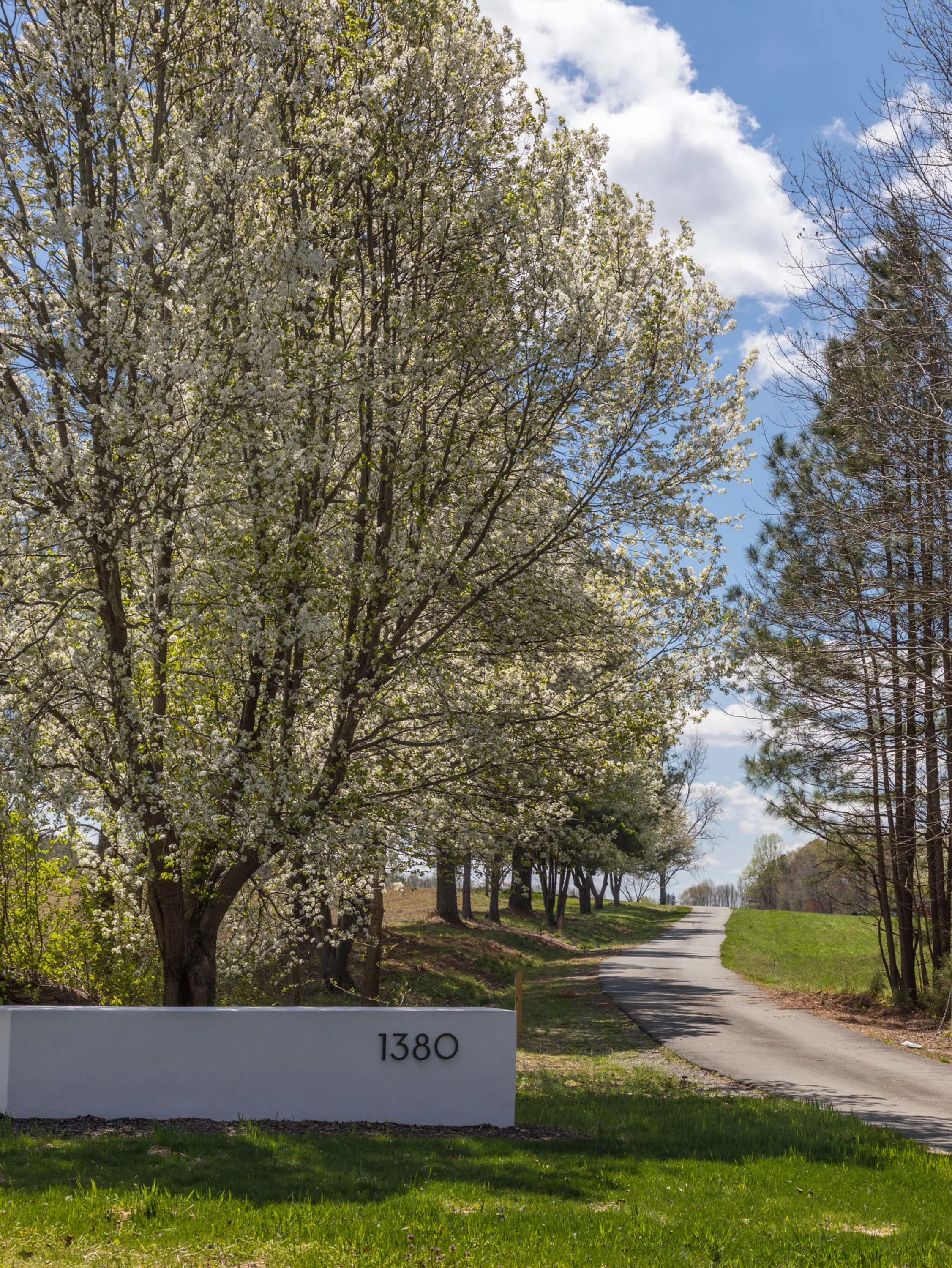 1380 Edge Hill Road, Northern Neck, Virginia 22460 - 1380-edge-hill-road-farnham-virginia02_iu1wul