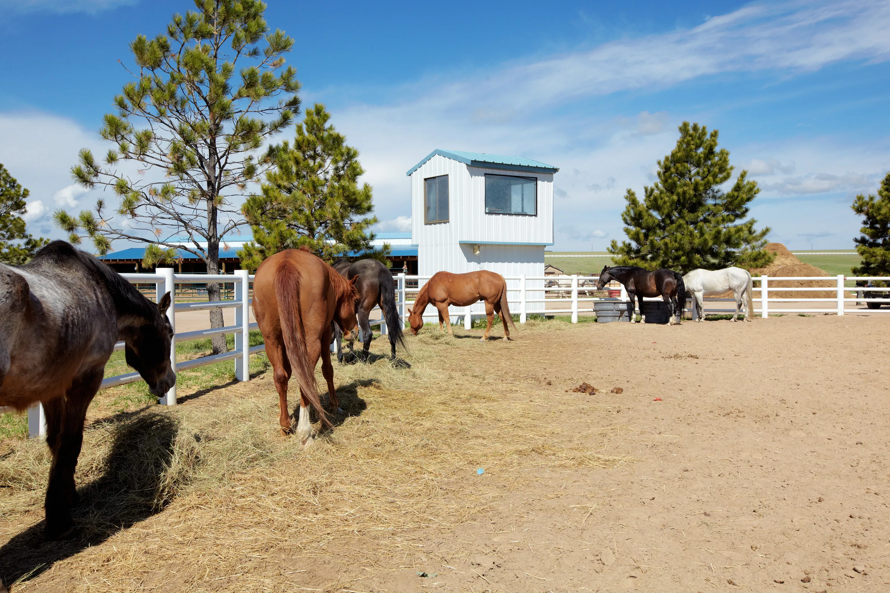 18980 Shiloh Ranch Rd, Colorado Springs, Colorado 80908 - shiloh-ranch-18980-shiloh-ranch-rd-colorado-springs-co-luxury-real-estate-3_zdswkj