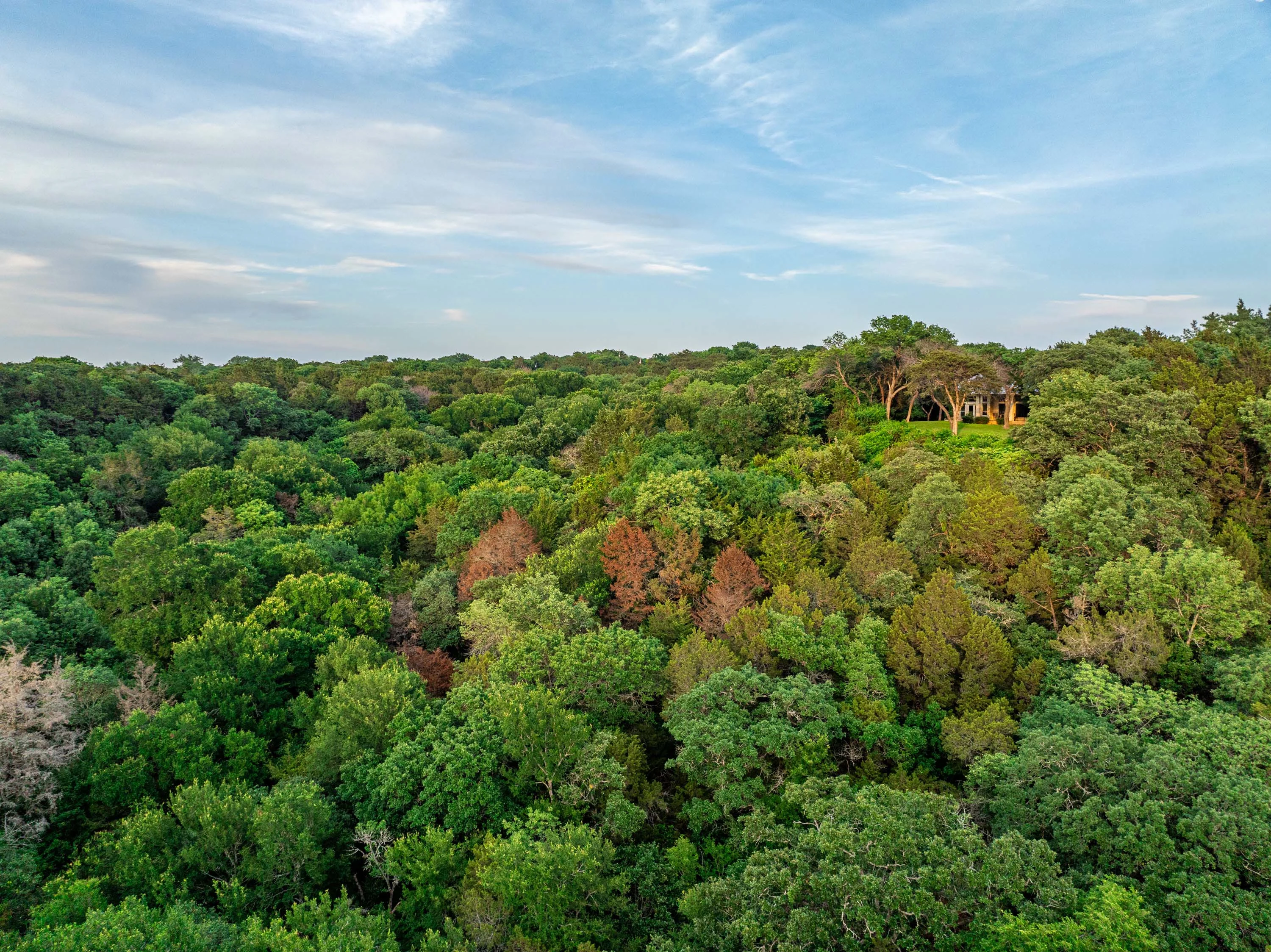1665 West Belt Line Road, Cedar Hill, Near Dallas, Texas 75104 - 19_1665_W_Belt_Line_Rd_Cedar_Hill_TX_jeaw2f