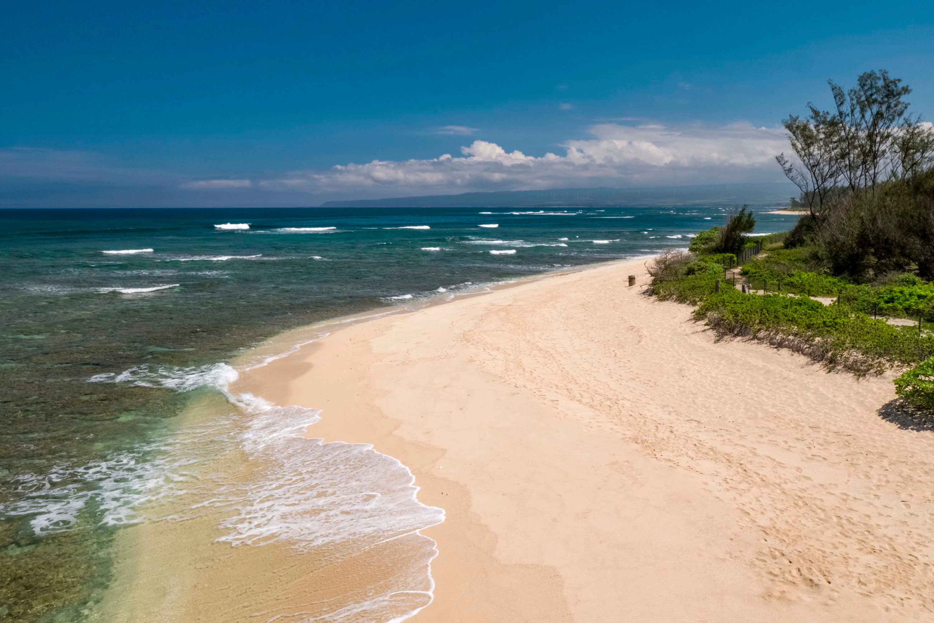 131 Farrington Highway, North Shore, Oahu, Hawaii 96791 - 131-farrington-highway-waialua-hawaii16_tjnxjy