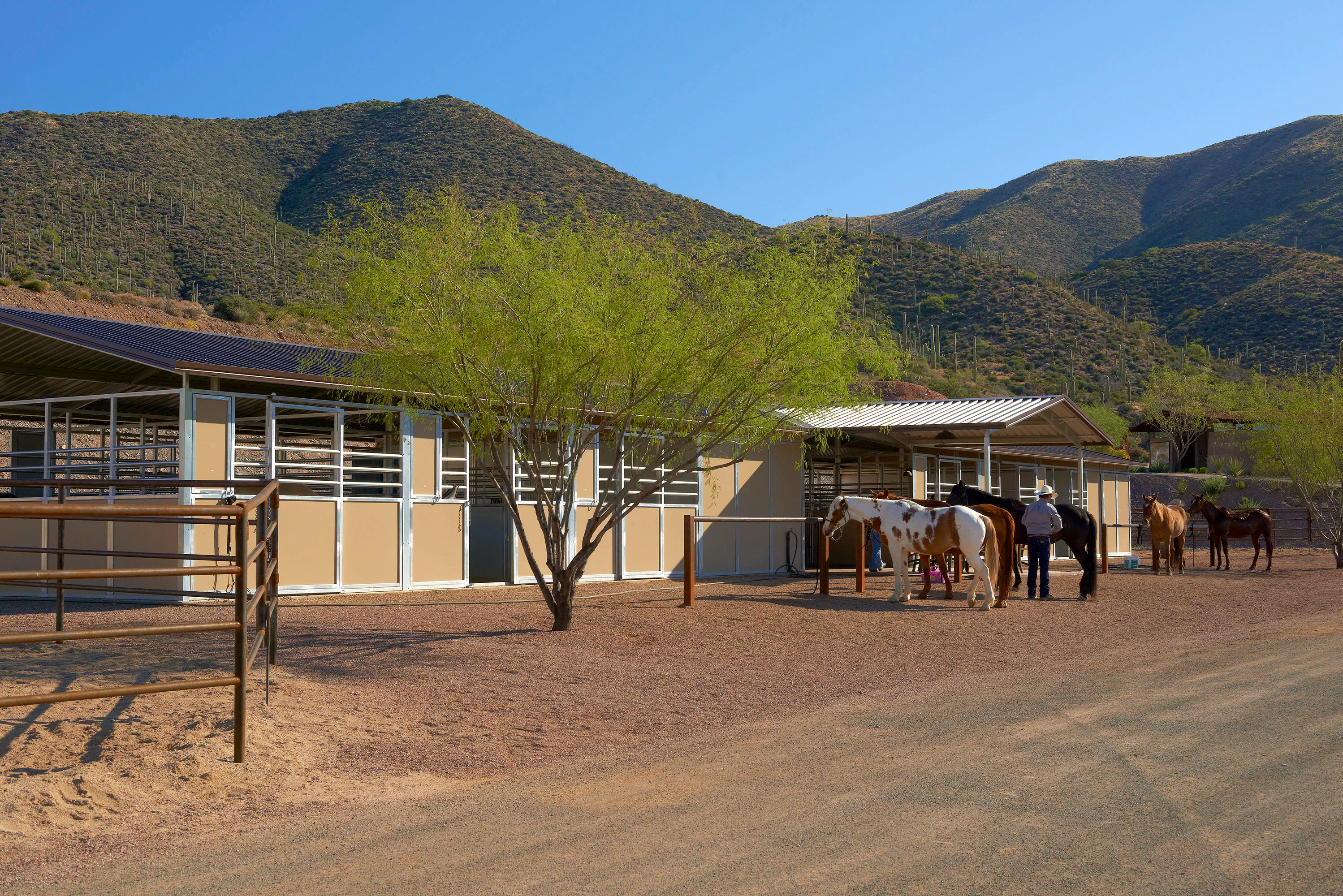 9315 East Aw Tillinghast Road, Scottsdale, Arizona 85262 - 9315_E_Aw_Tillinghast_Rd_31_31_biksf8