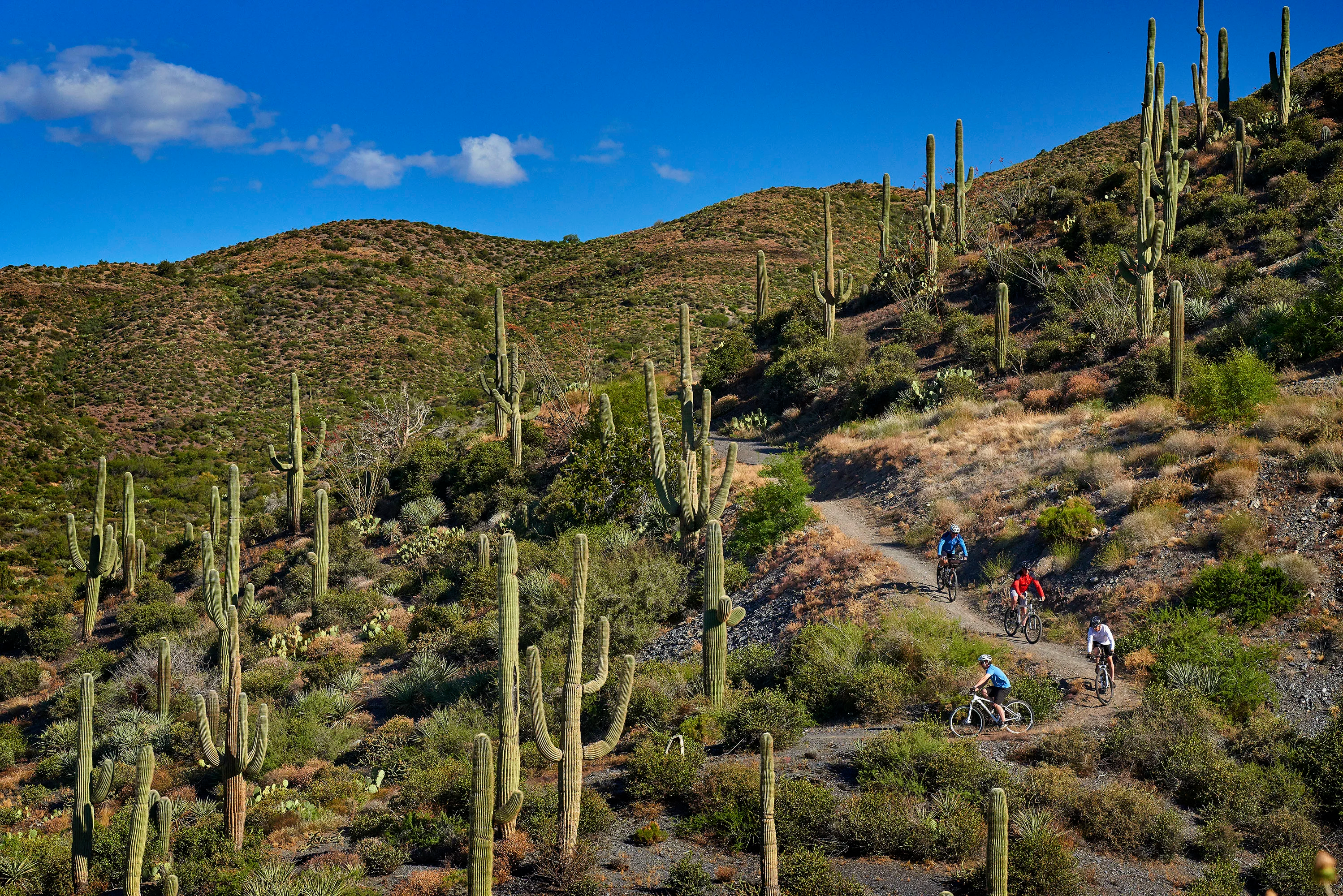 9315 East Aw Tillinghast Road, Scottsdale, Arizona 85262 - 9315_E_Aw_Tillinghast_Rd_31_28_y4t1cu