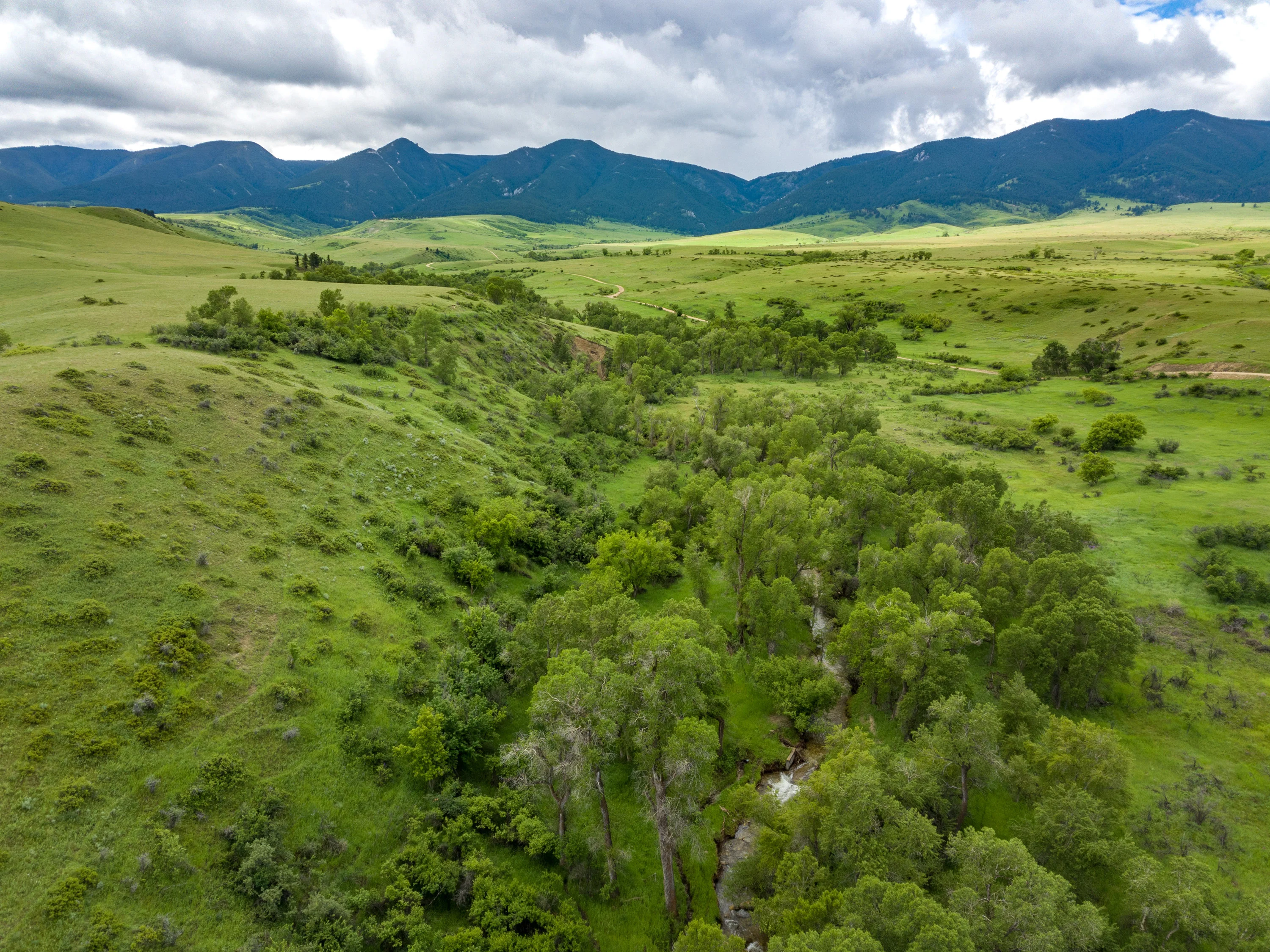 43 Rapid Creek Road, Sheridan, Wyoming 82801 - holy-cow-ranch-43-rapid-creek-road-sheridan-wyoming20_oymec8