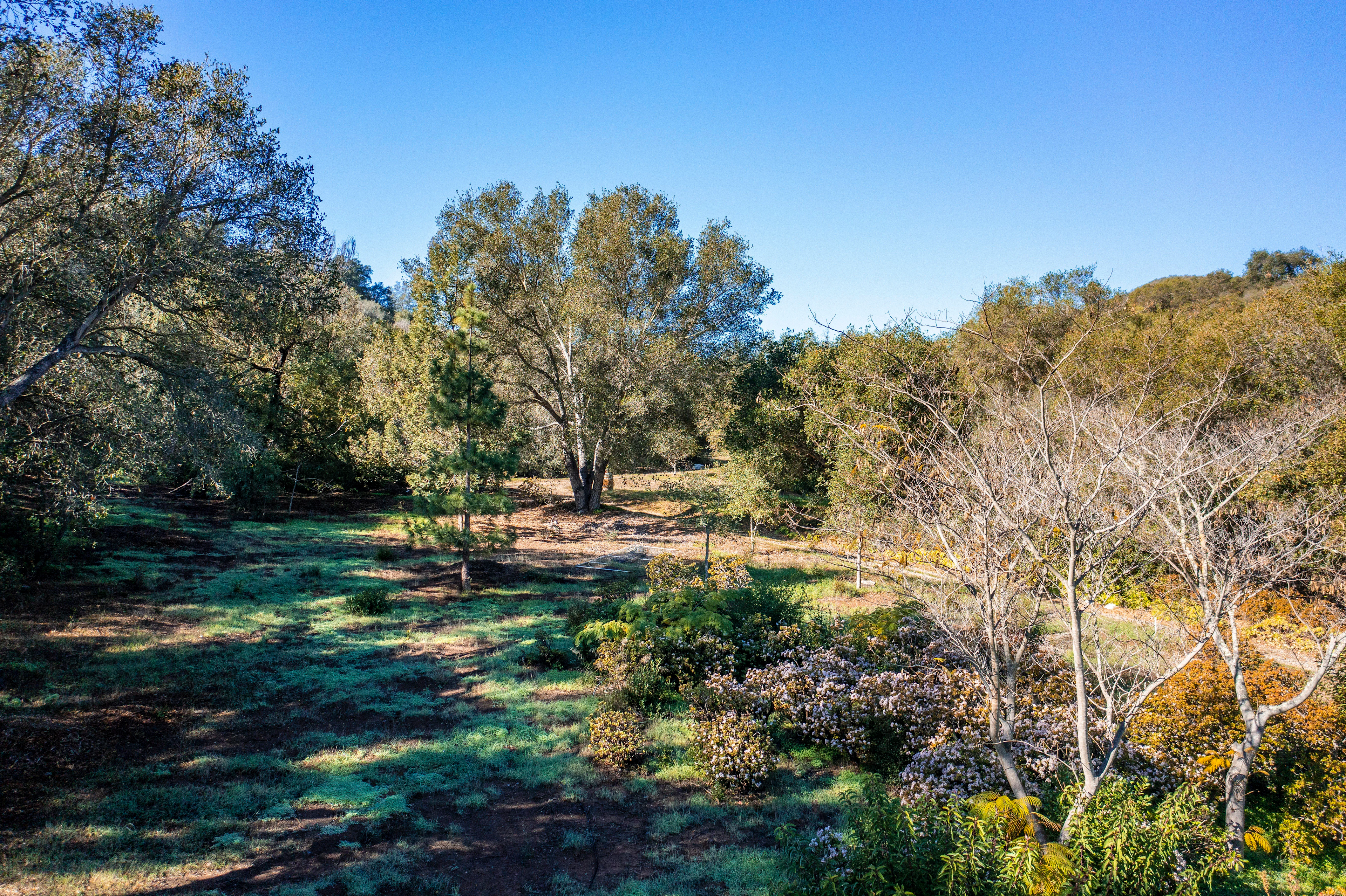 1585 San Marcos Pass Road, Santa Barbara, California 93105 - 1585-san-marcos-pass-road-santa-barbara-ca10_jhmqgi