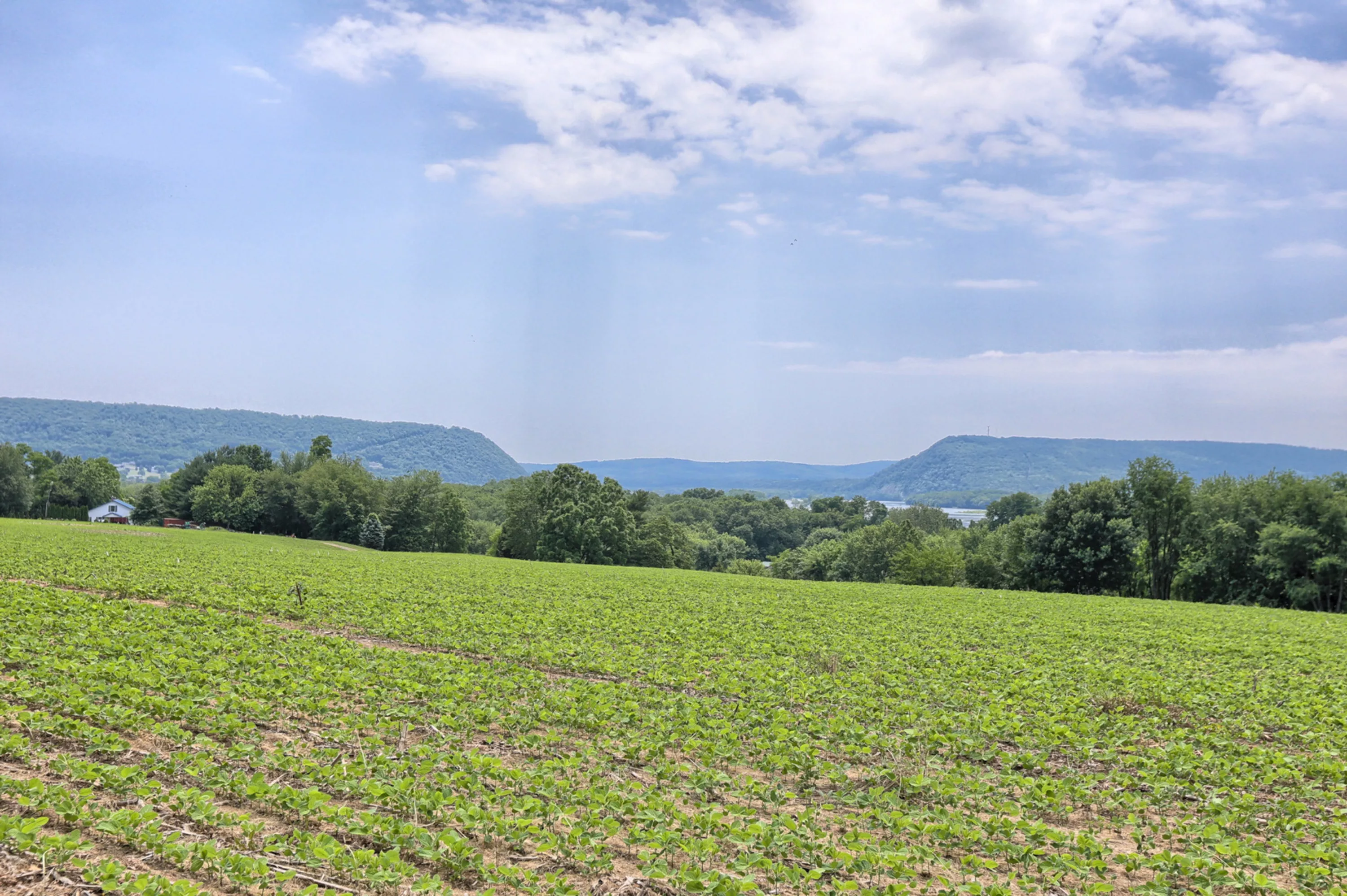 3462 State Route 147, Millersburg, Pennsylvania 17061 - susquehanna-landing-3642-st-rt-147-millersburg-pa-luxury-real-estate-3_sazvbs