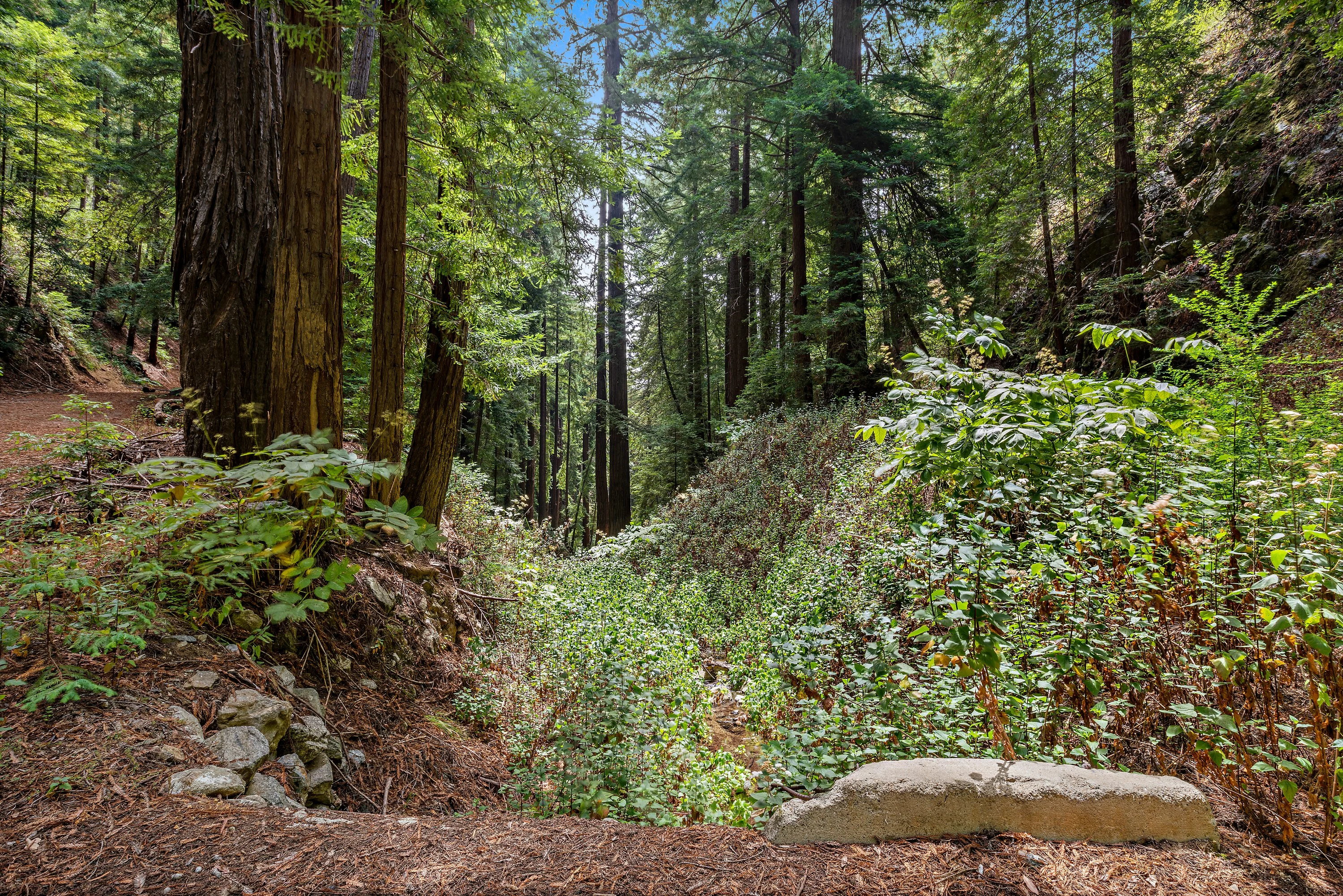 0 Highway 1, Big Sur, California 93920 - Cavan_Hadley-479_xwpskm