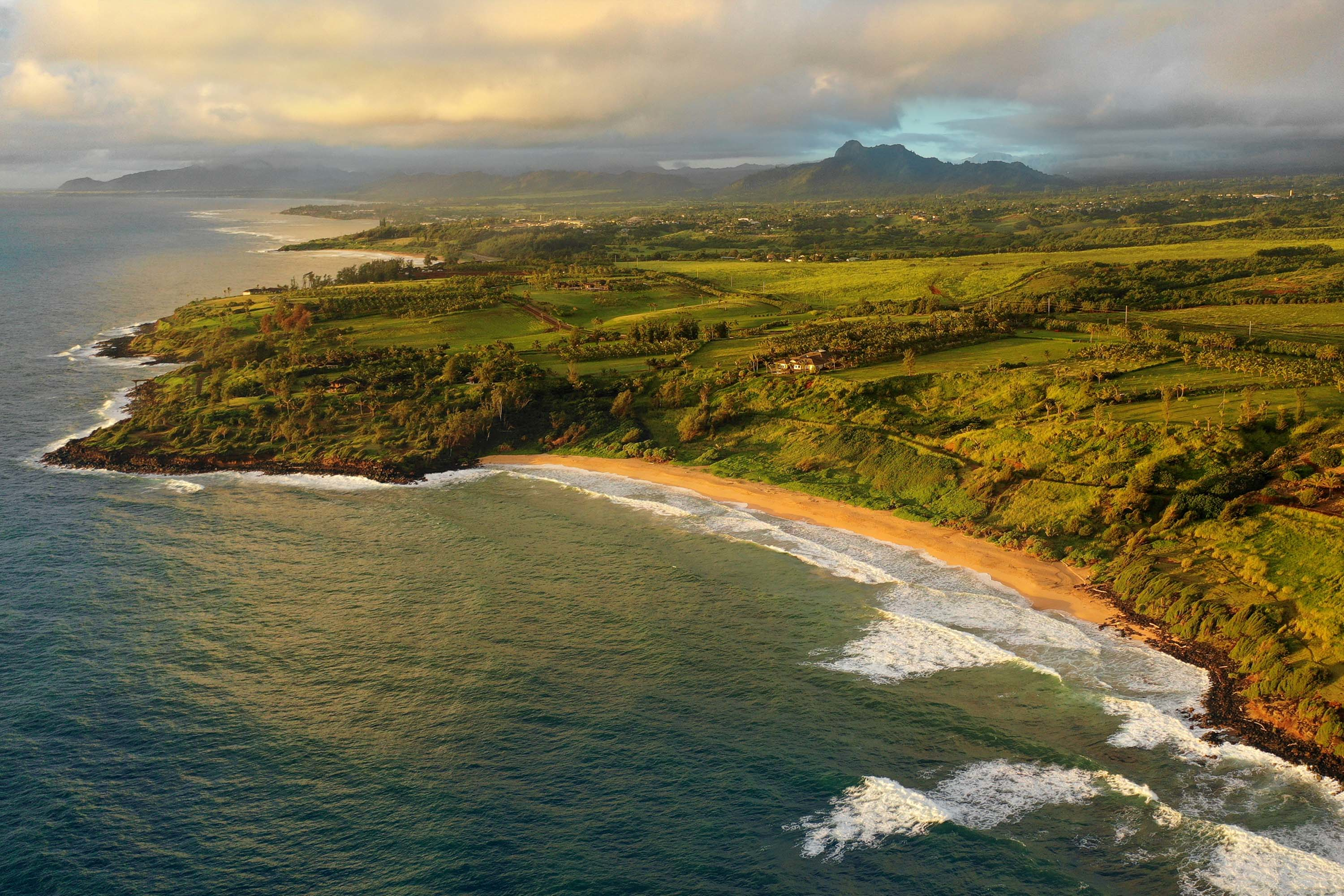 04 0 Kapoli St, Kealia, HI 96746 Concierge Auction Luxury Real Estate