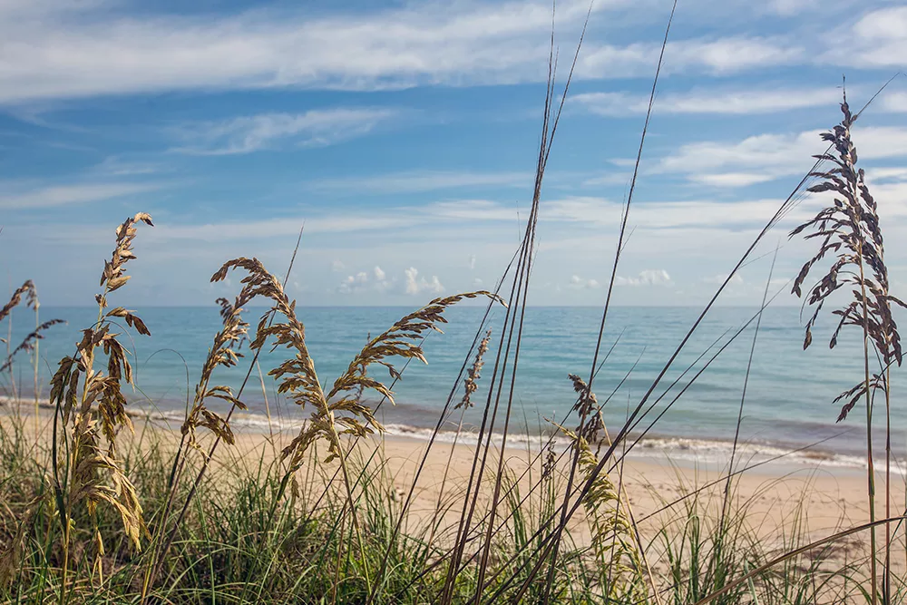 908 Holoma Drive, Vero Beach, Florida 32963 - stock_image_uvhyv9