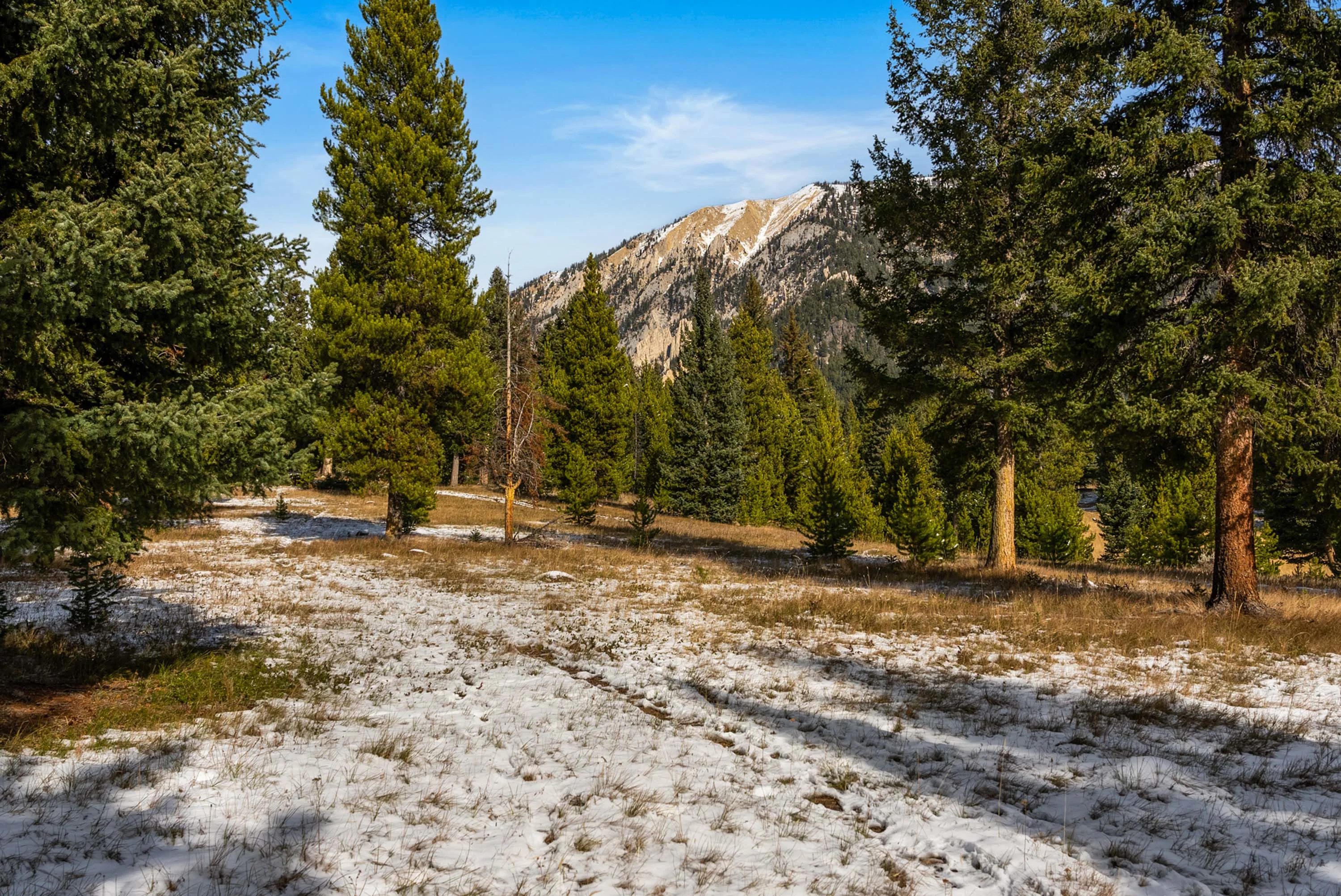 5255 Lone Mountain Trl, Big Sky, Montana 59716 - 48_-_DSC01914_fgldts