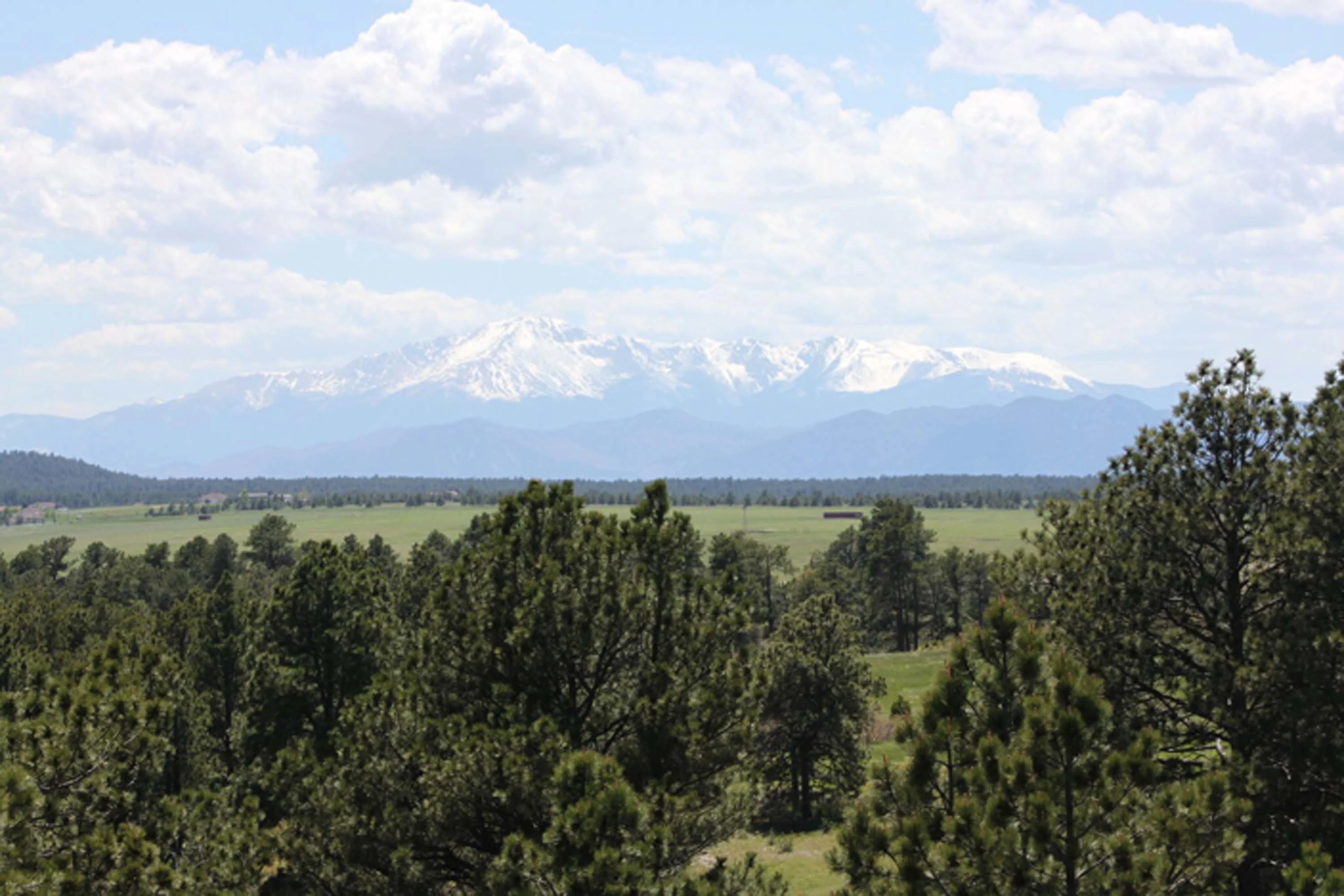 9663 East Palmer Divide Avenue, Larkspur, Near Colorado Springs, Colorado 80118 - 52_-_Trees_and_Pikes_Peak_i5fvlu