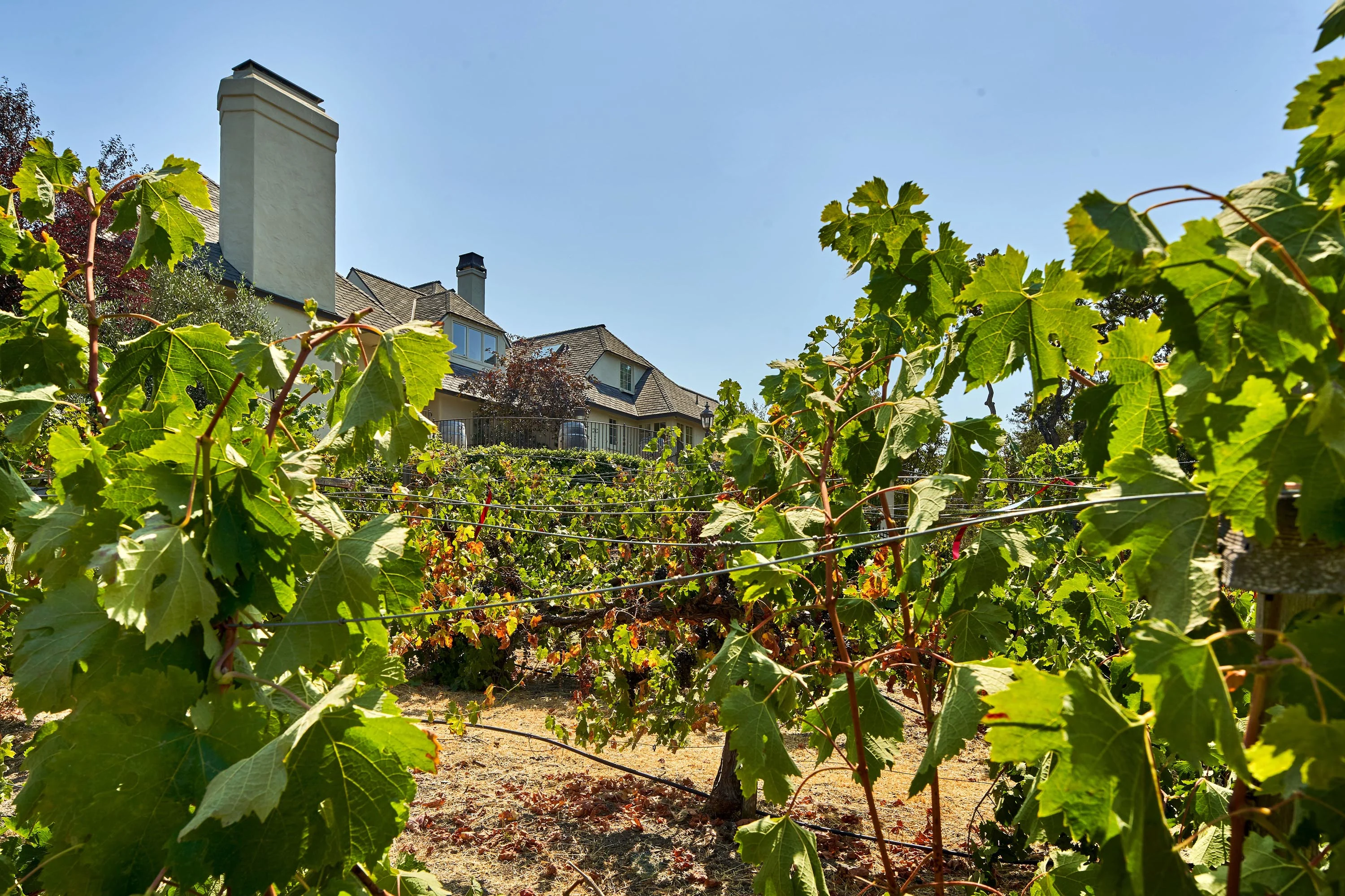 690 Loyola Drive, Silicon Valley, California 94024 - 690-loyola-drive-los-altos-hills-california60_z4knus