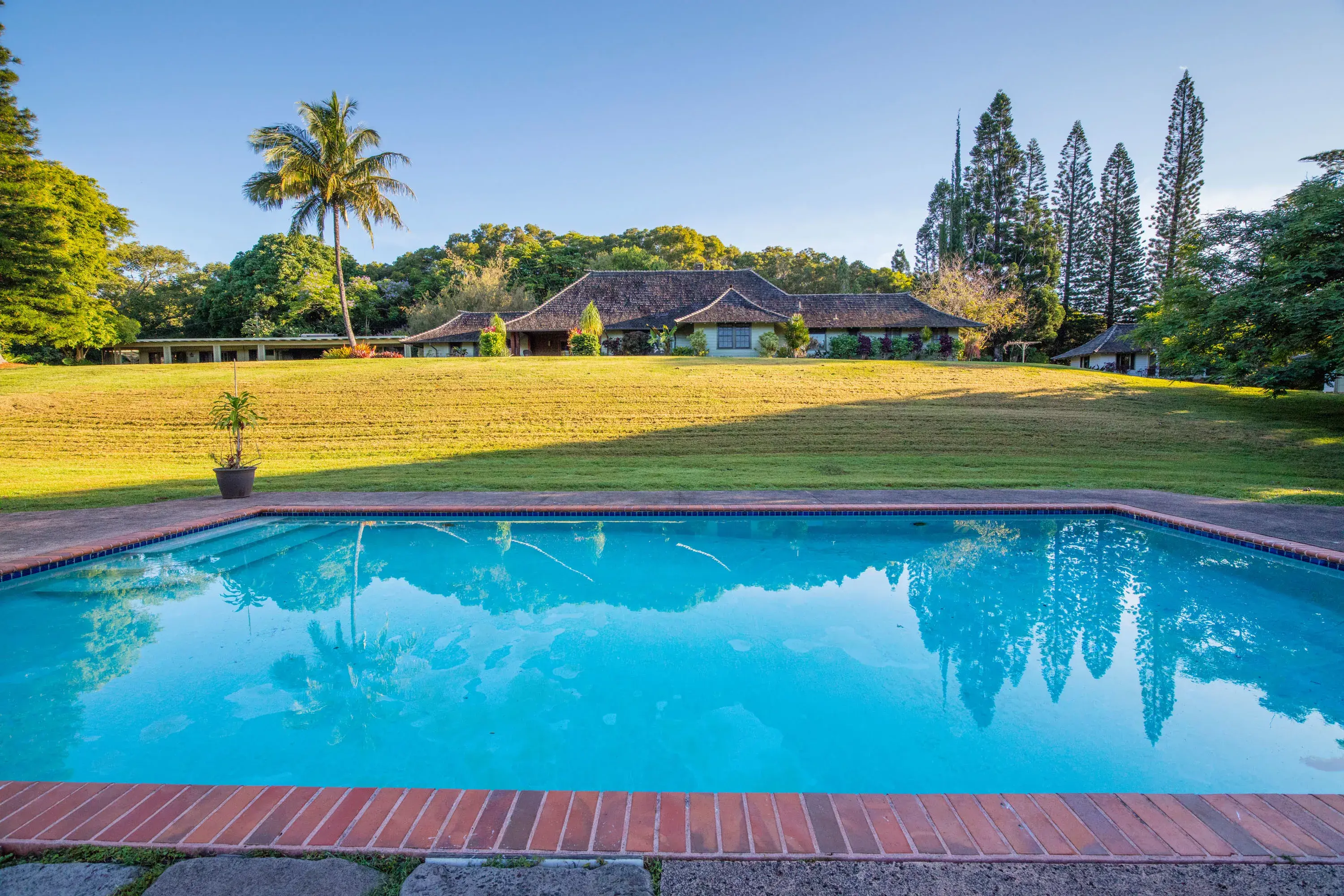 Olu Pua Gardens, Kauai, Hawaii  - olu-pua-gardens-kalaheo-kauai-hi-02-22-22-26-2626_ifp4ce