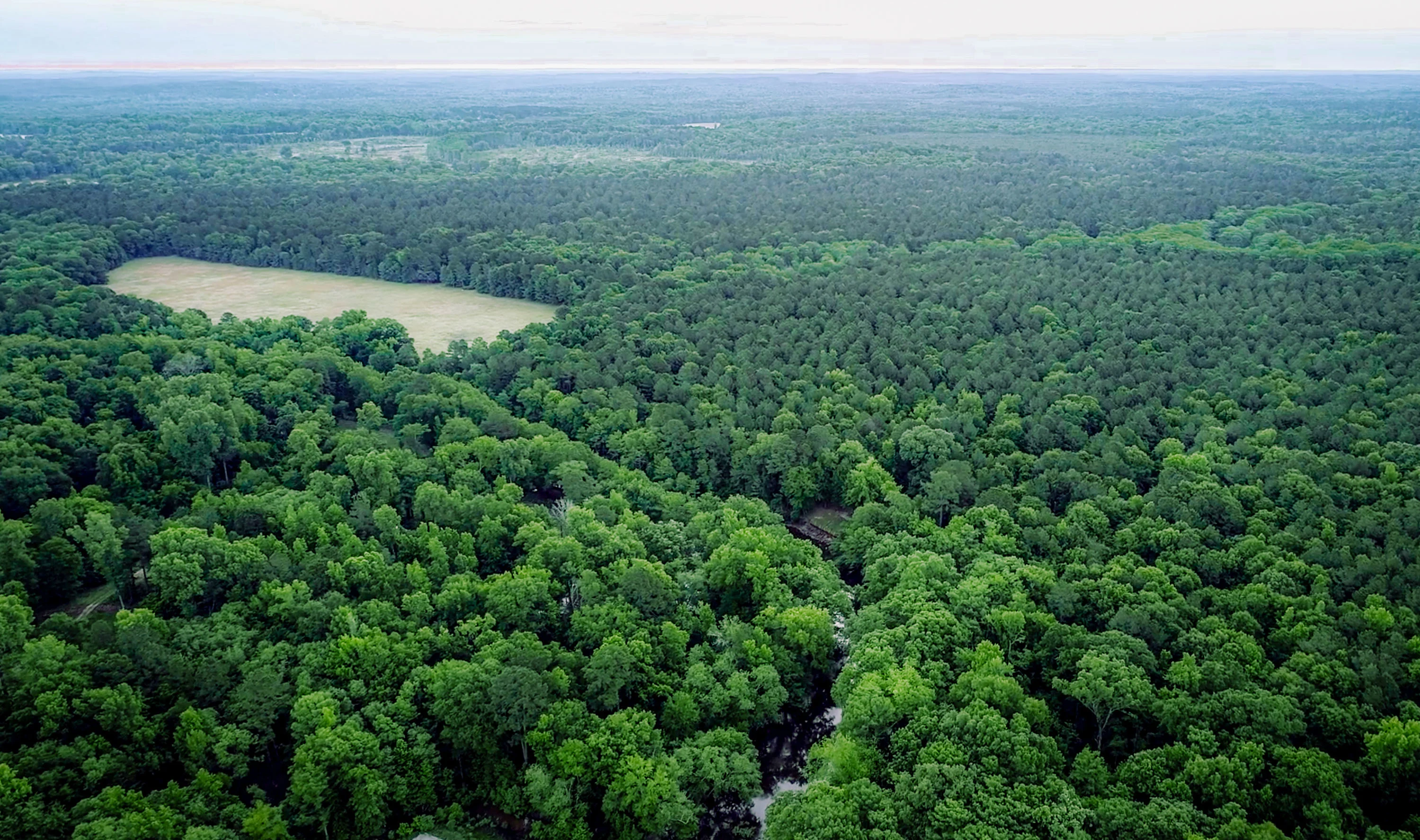 Nix Lower Bayou, East Texas, Texas 75657 - 601-fm-134-jefferson-texas23_hhenzv